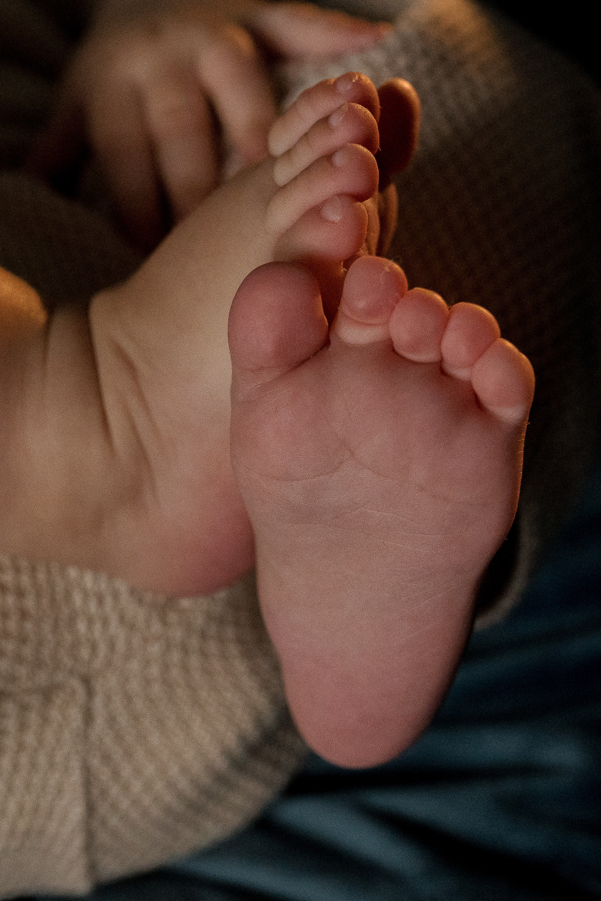 Семейная фотосессия в Москве, семейный фотограф Анна Полушина. Свадебный фотограф в Москве Анна Полушина