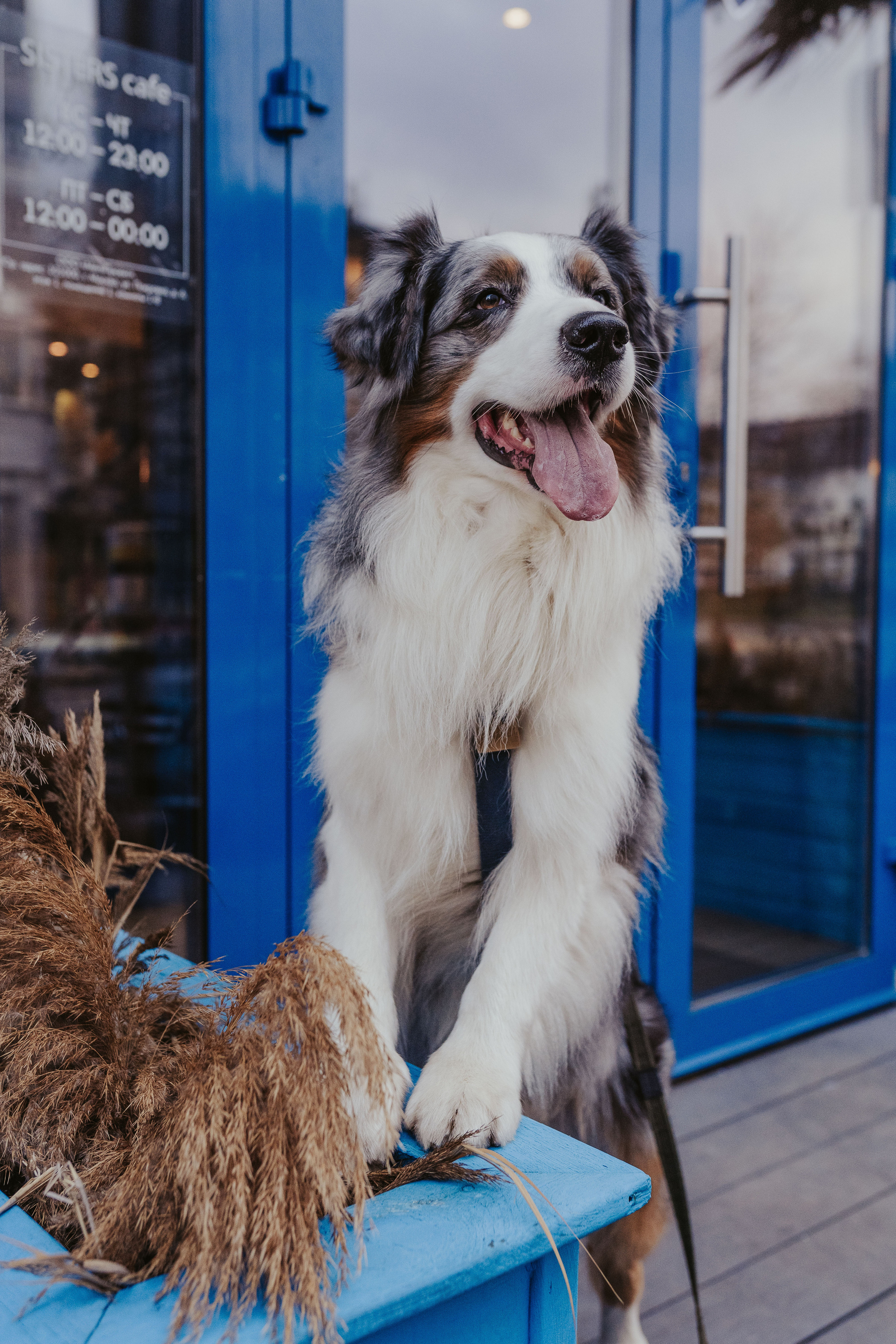 Лена и Принц, Китай- Город. Свадебный фотограф в Москве Анна Полушина