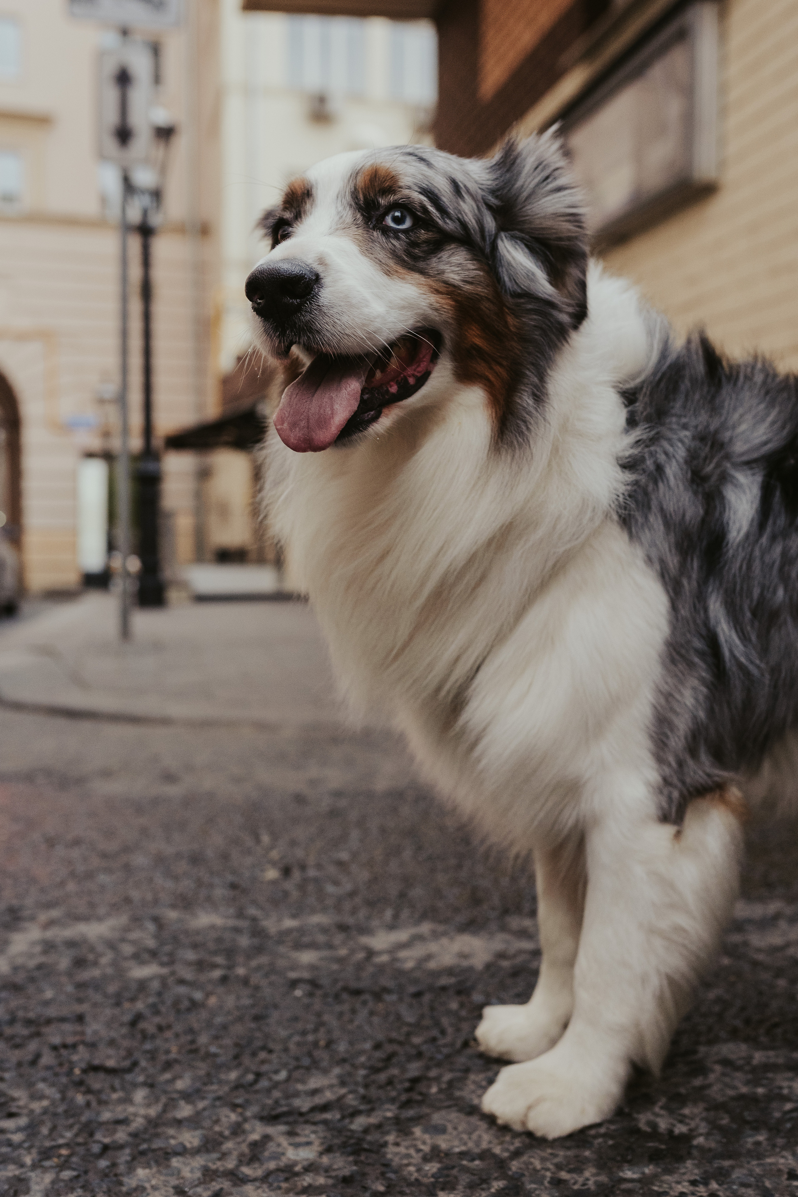 Лена и Принц, Китай- Город. Свадебный фотограф в Москве Анна Полушина