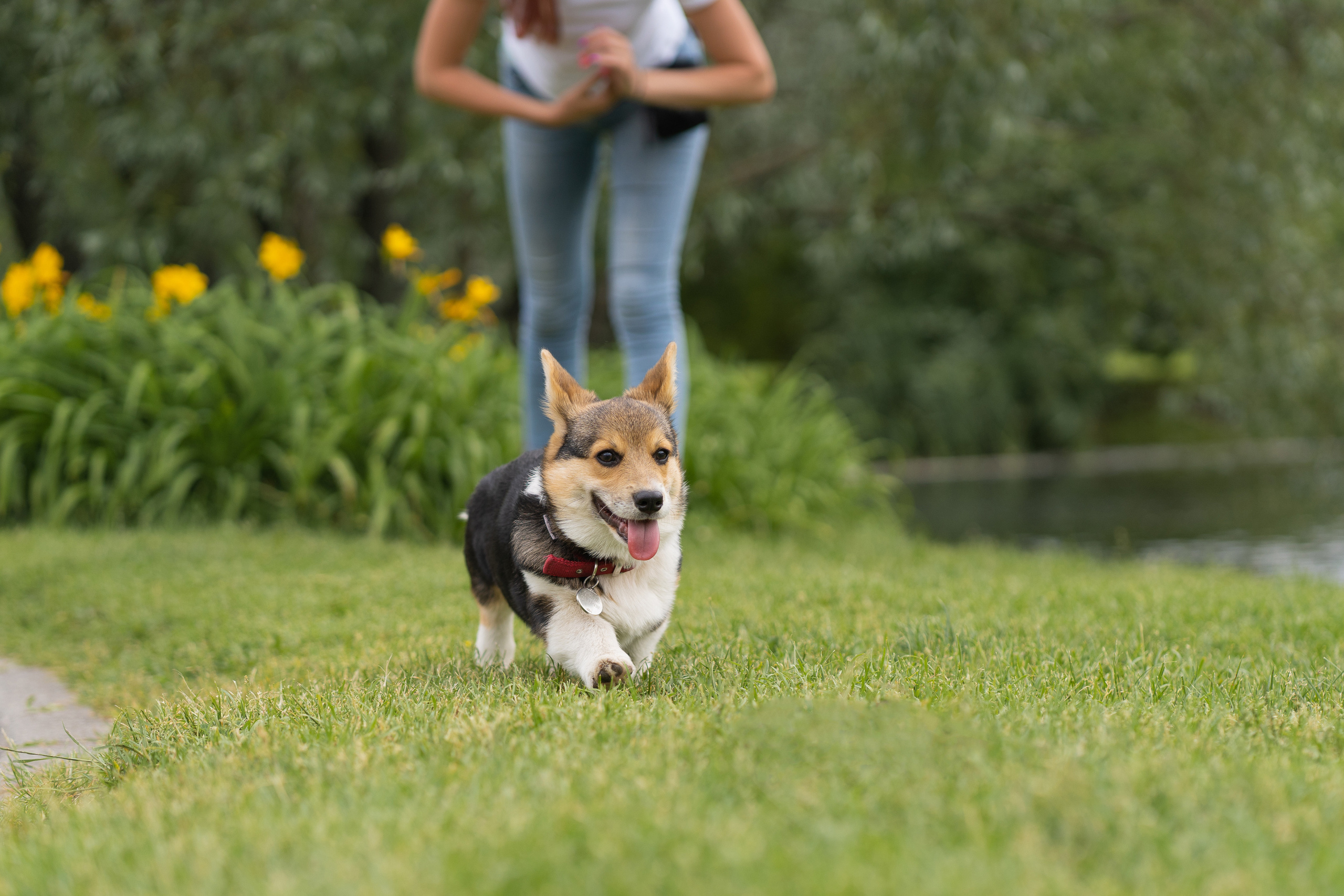 Каспер и Полина, Ботанический сад. Свадебный фотограф в Москве Анна Полушина