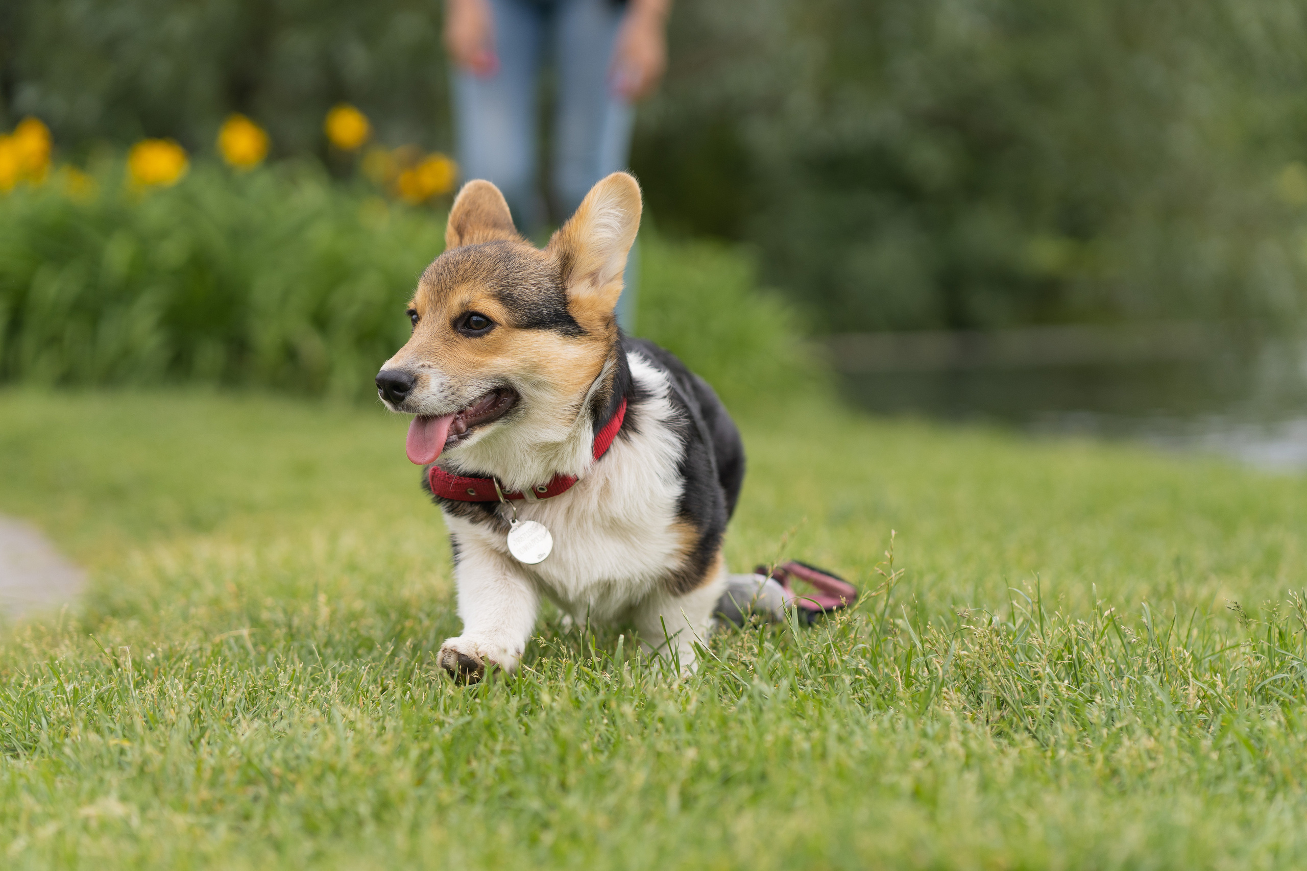 Каспер и Полина, Ботанический сад. Свадебный фотограф в Москве Анна Полушина