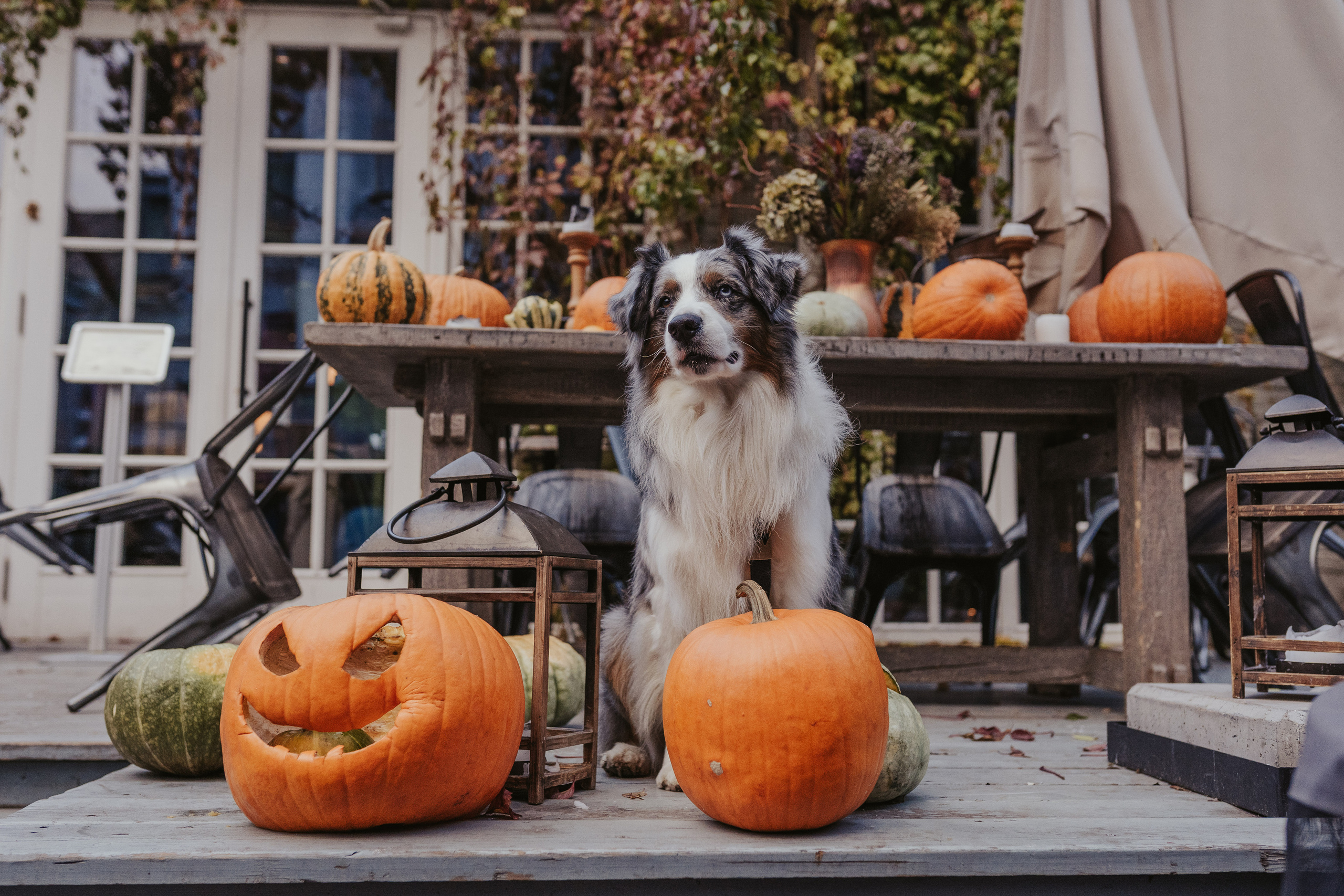 Лена и Принц, Китай- Город. Свадебный фотограф в Москве Анна Полушина