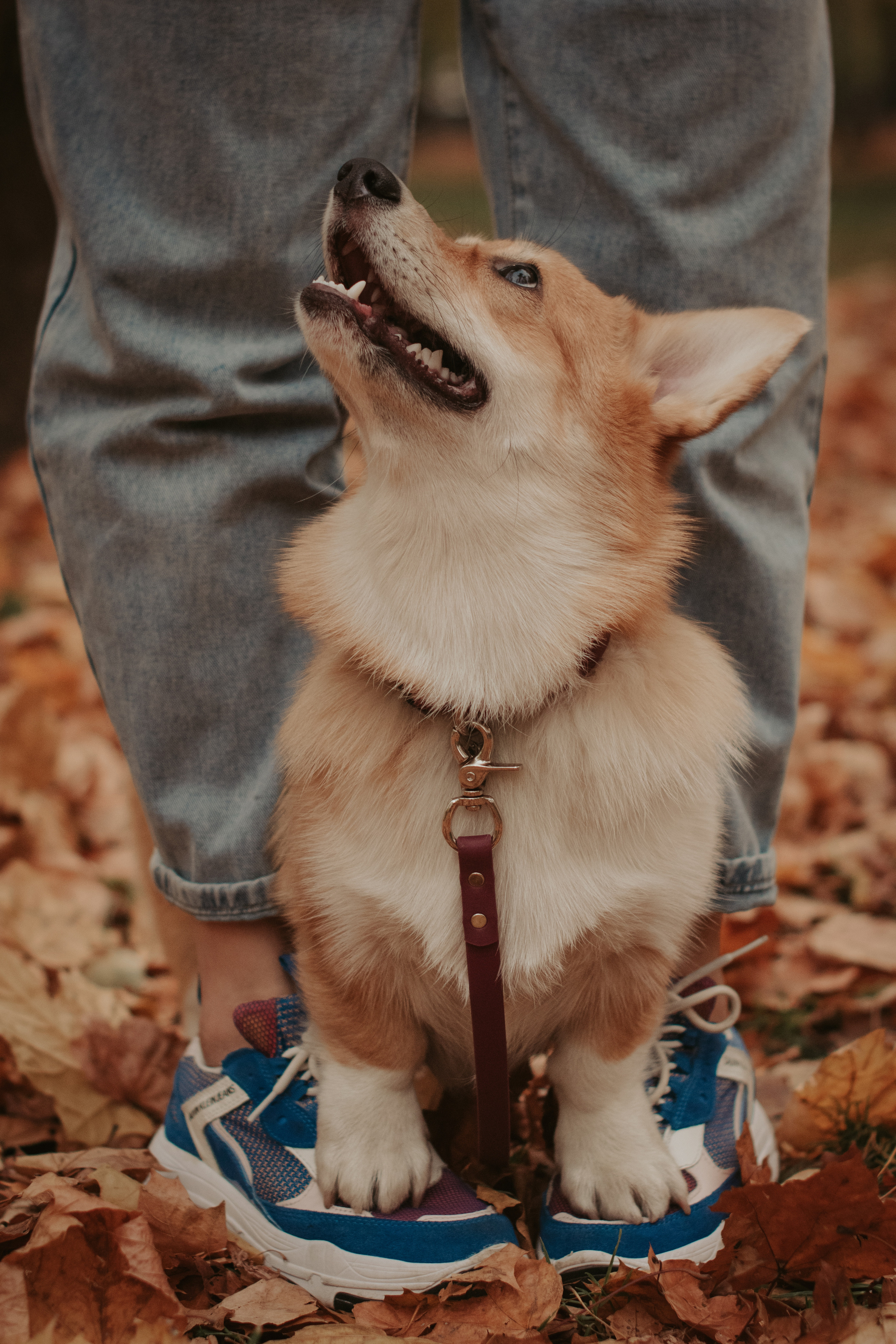Марина и Мася, Новодевичий сквер. Свадебный фотограф в Москве Анна Полушина