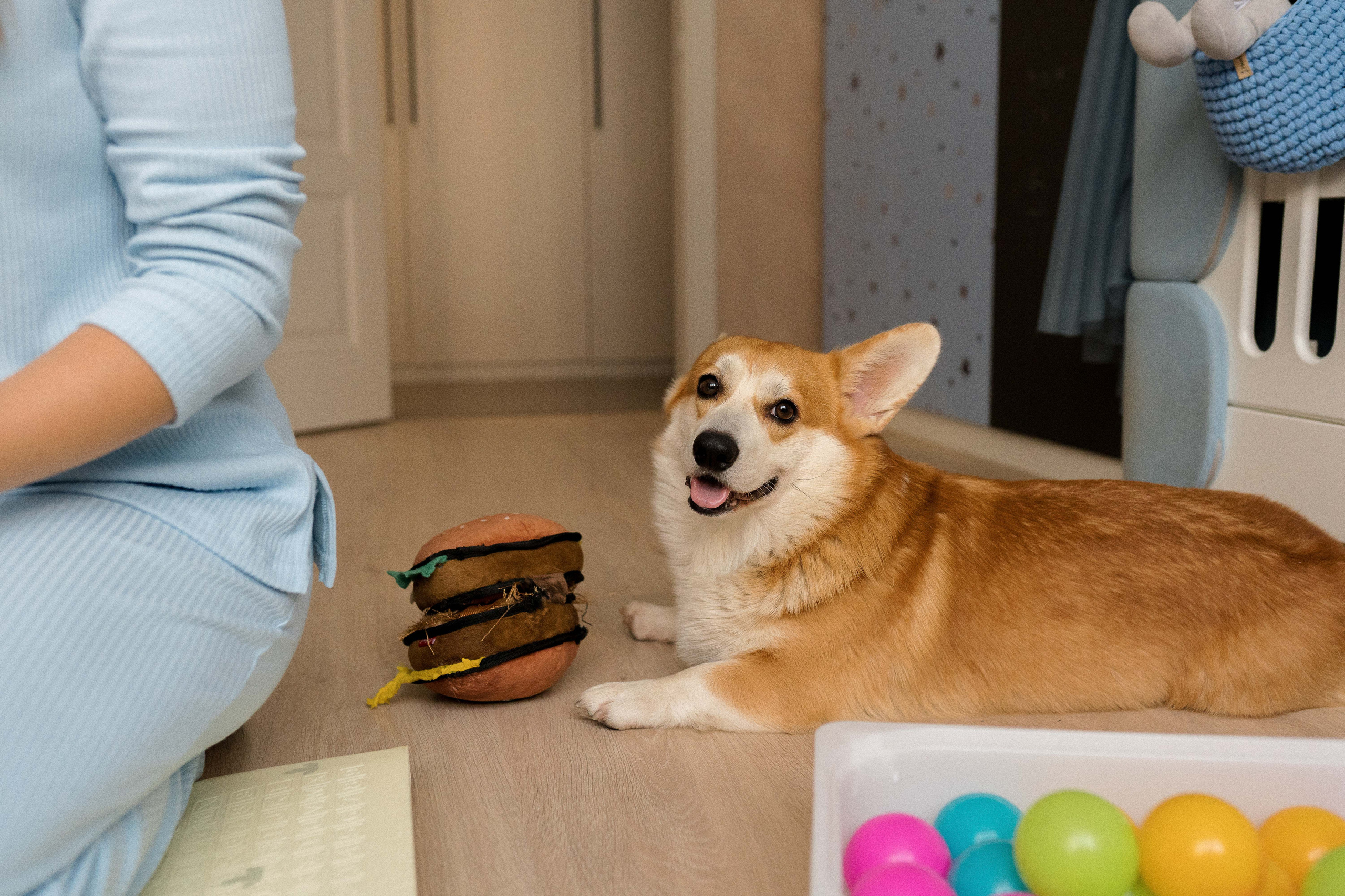 Семейная фотосессия в Москве, семейный фотограф Анна Полушина. Свадебный фотограф в Москве Анна Полушина