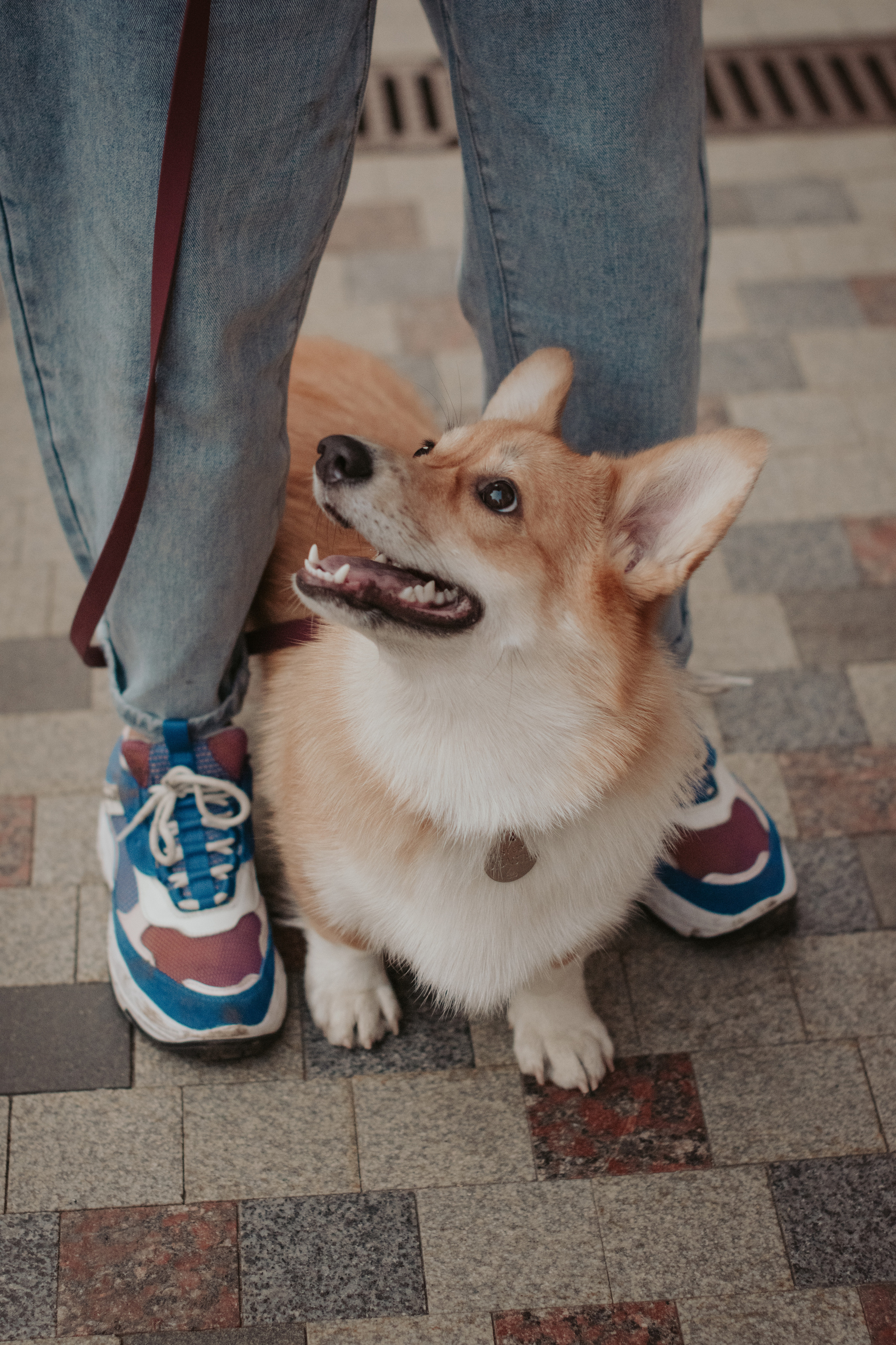 Марина и Мася, Новодевичий сквер. Свадебный фотограф в Москве Анна Полушина