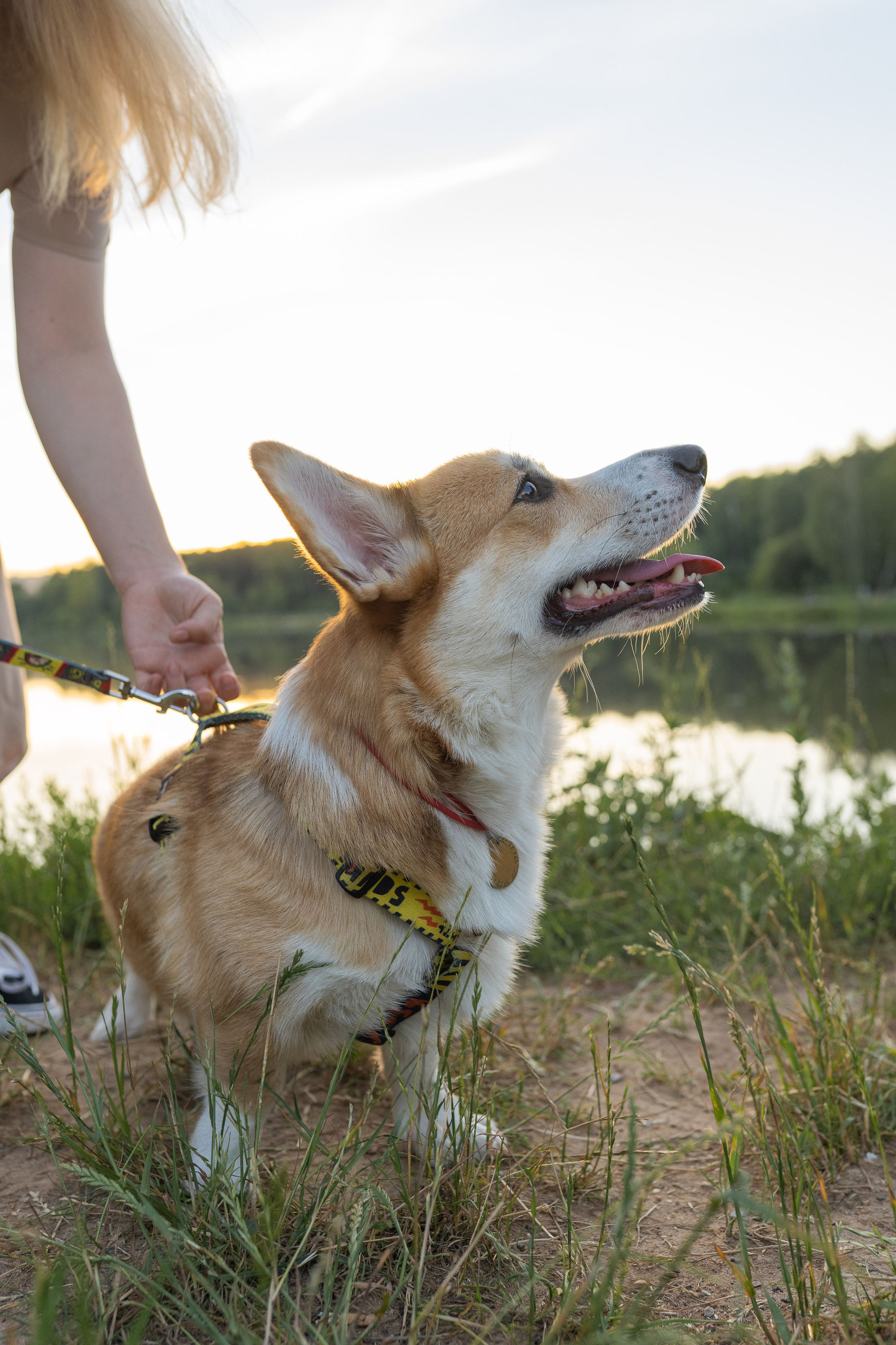 Катя и Боря, Джамгаровский парк. Свадебный фотограф в Москве Анна Полушина
