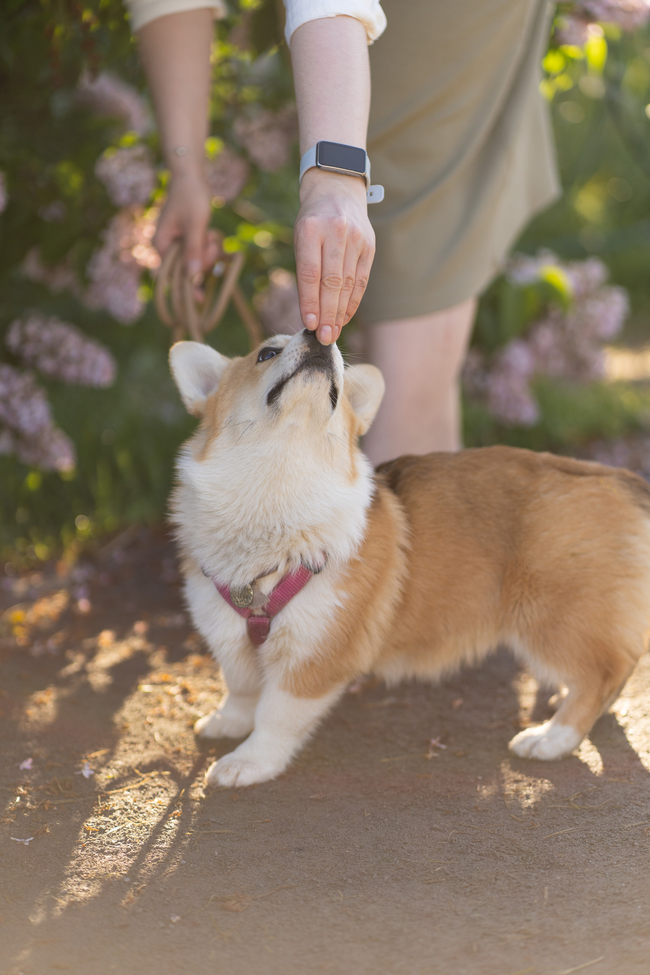 Полина и Стеша, Сиреневый сад. Свадебный фотограф в Москве Анна Полушина