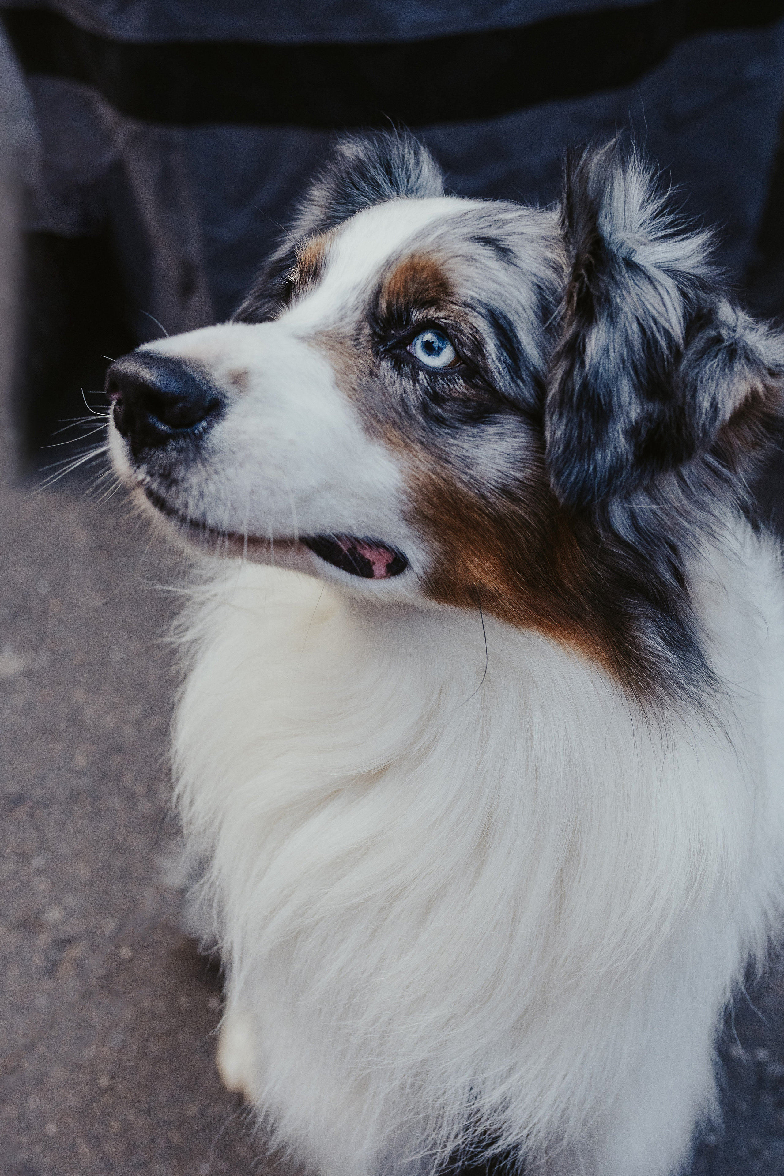 Лена и Принц, Китай- Город. Свадебный фотограф в Москве Анна Полушина