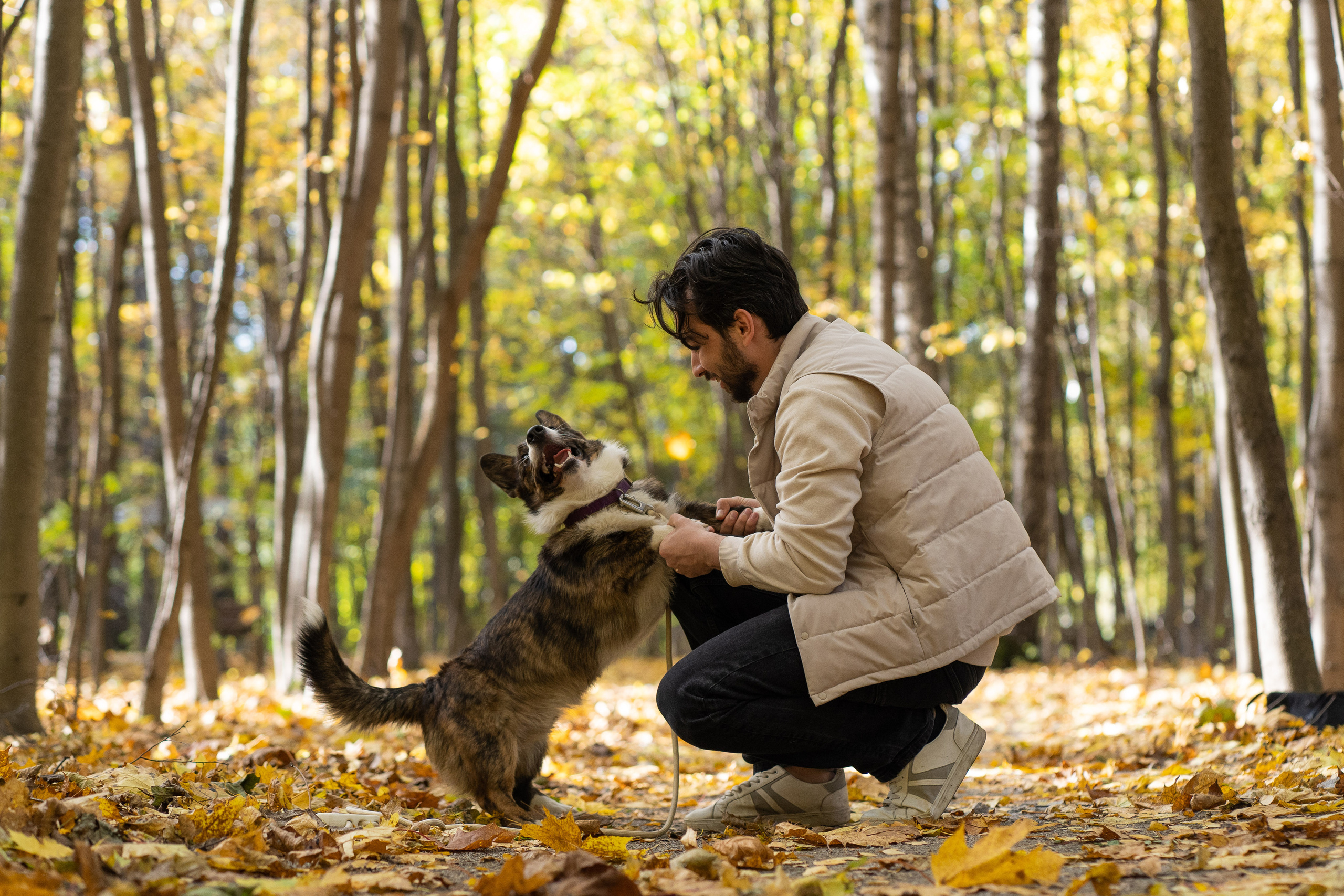 Боря, Даша и Маффин. Свадебный фотограф в Москве Анна Полушина