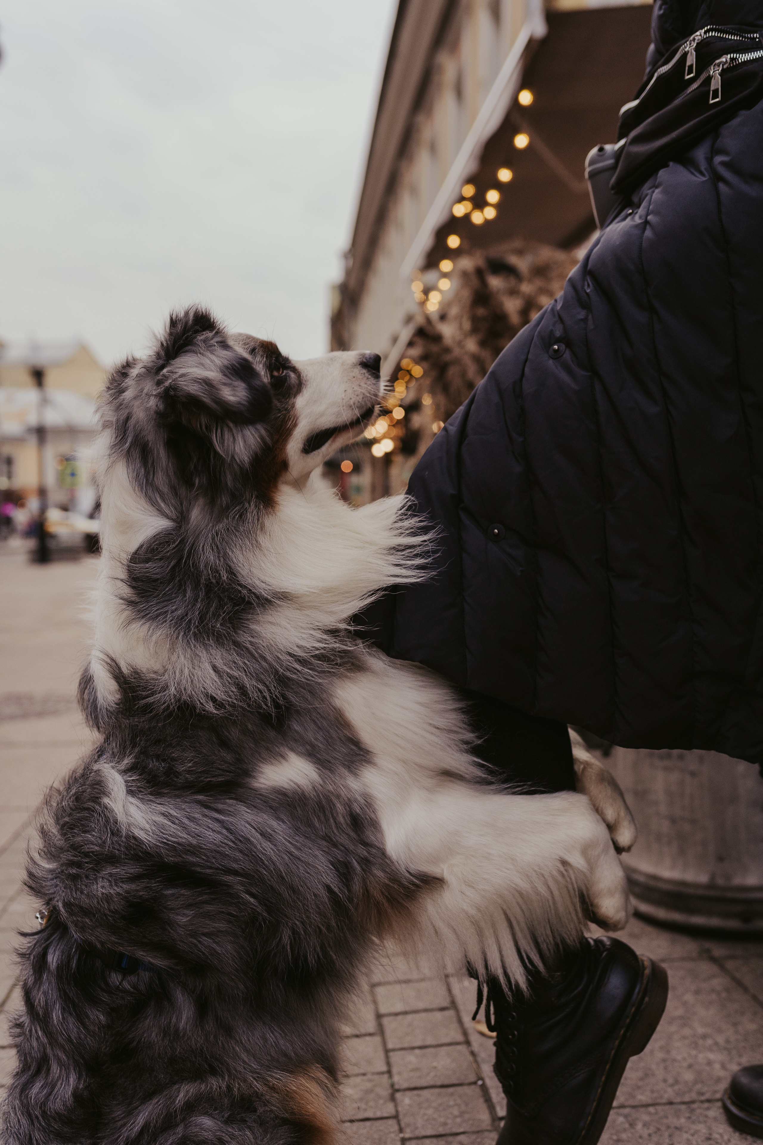 Лена и Принц, Китай- Город. Свадебный фотограф в Москве Анна Полушина