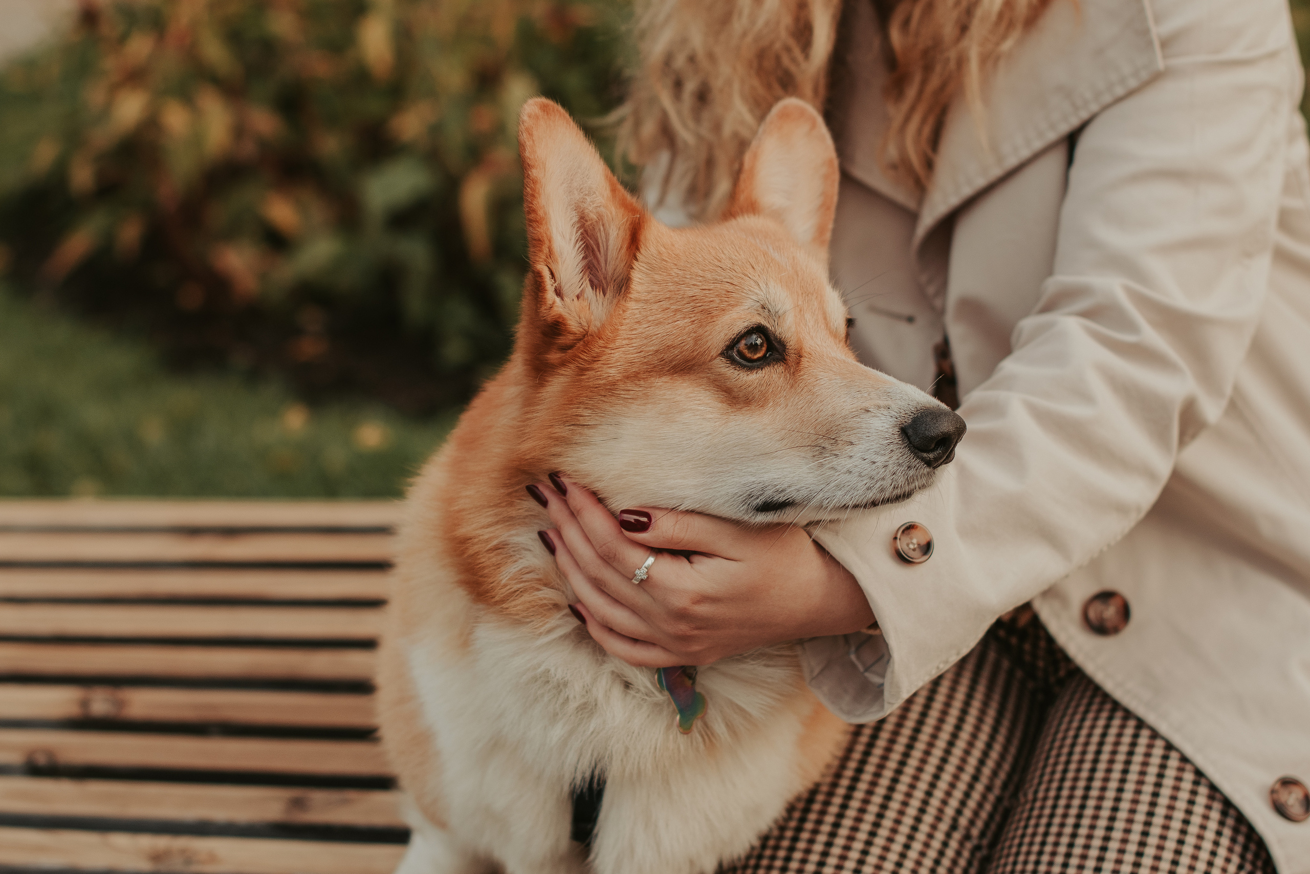 Наташа, Даша и Кевин. Свадебный фотограф в Москве Анна Полушина