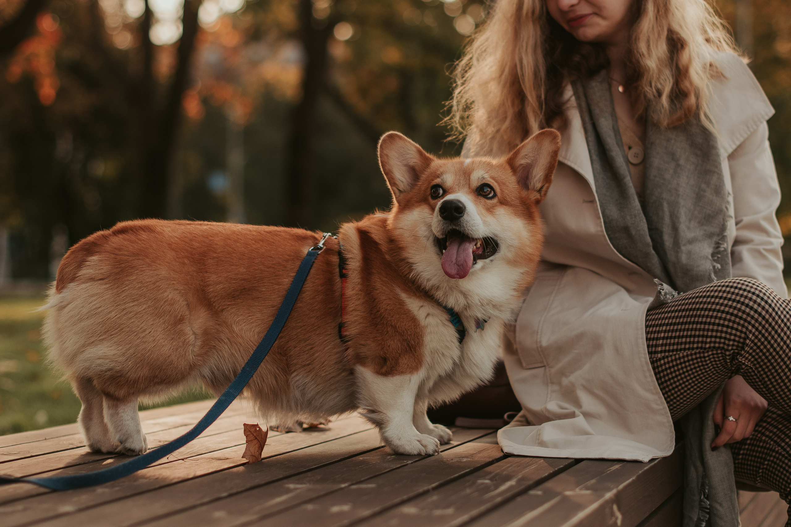 Наташа, Даша и Кевин. Свадебный фотограф в Москве Анна Полушина