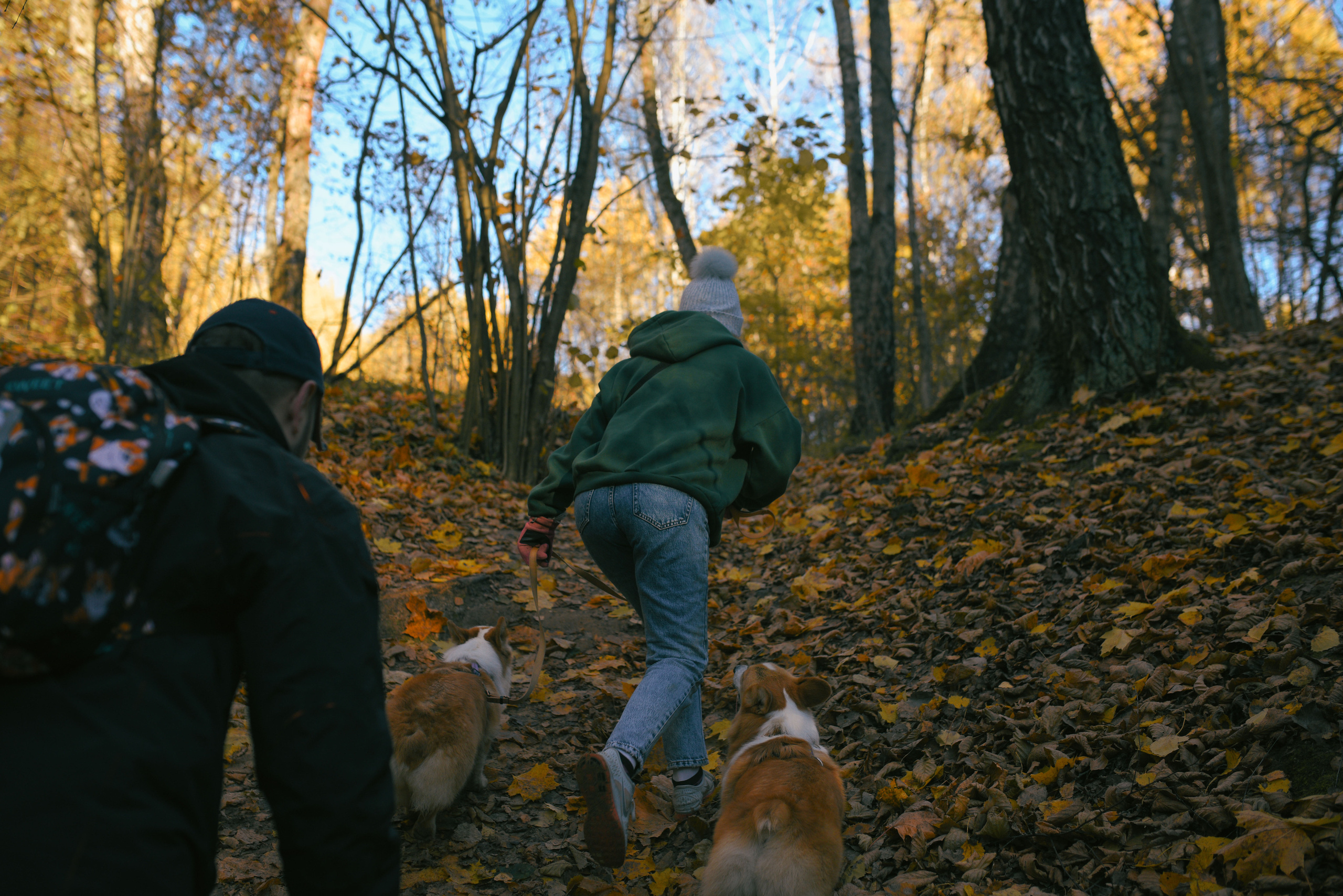 Фотосессия с питомцем в Москве. Свадебный фотограф в Москве Анна Полушина