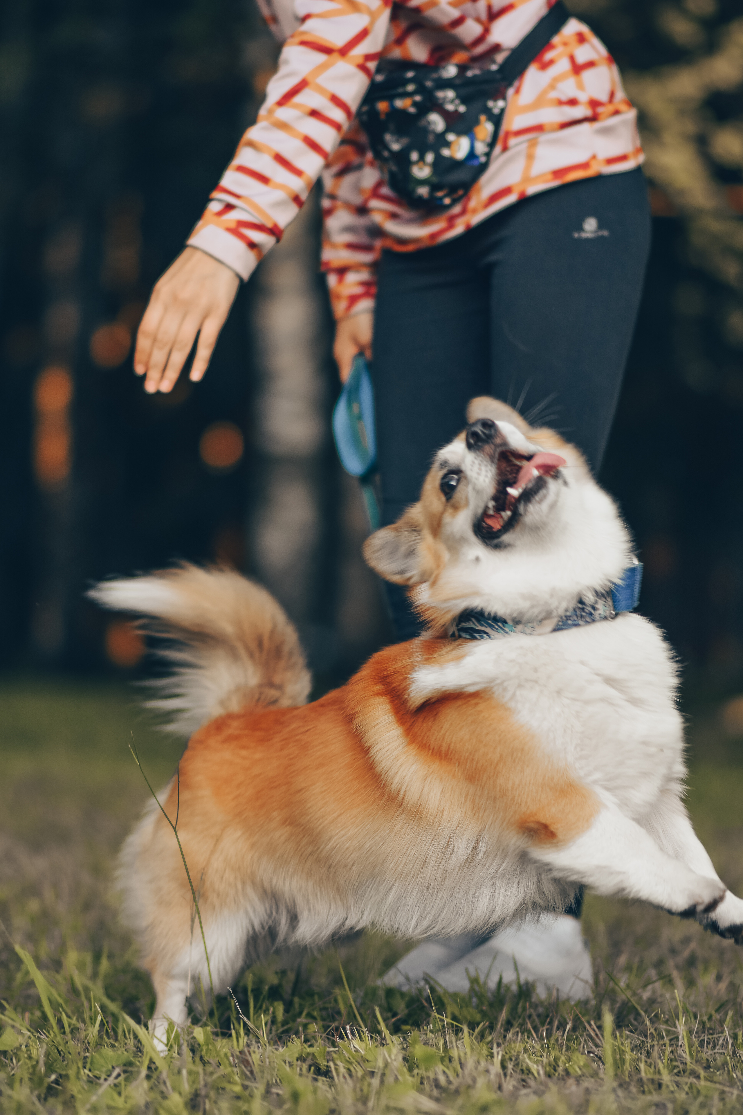 Алина и Ройс, парк на Яузе. Свадебный фотограф в Москве Анна Полушина