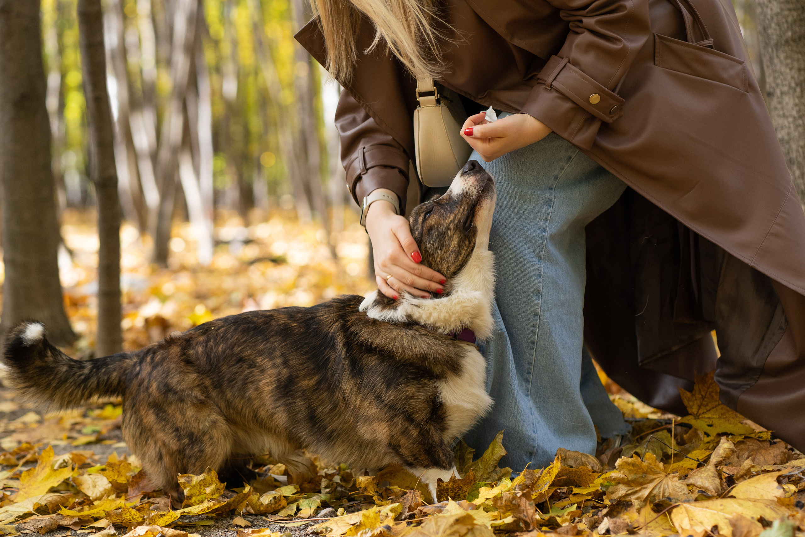 Боря, Даша и Маффин. Свадебный фотограф в Москве Анна Полушина
