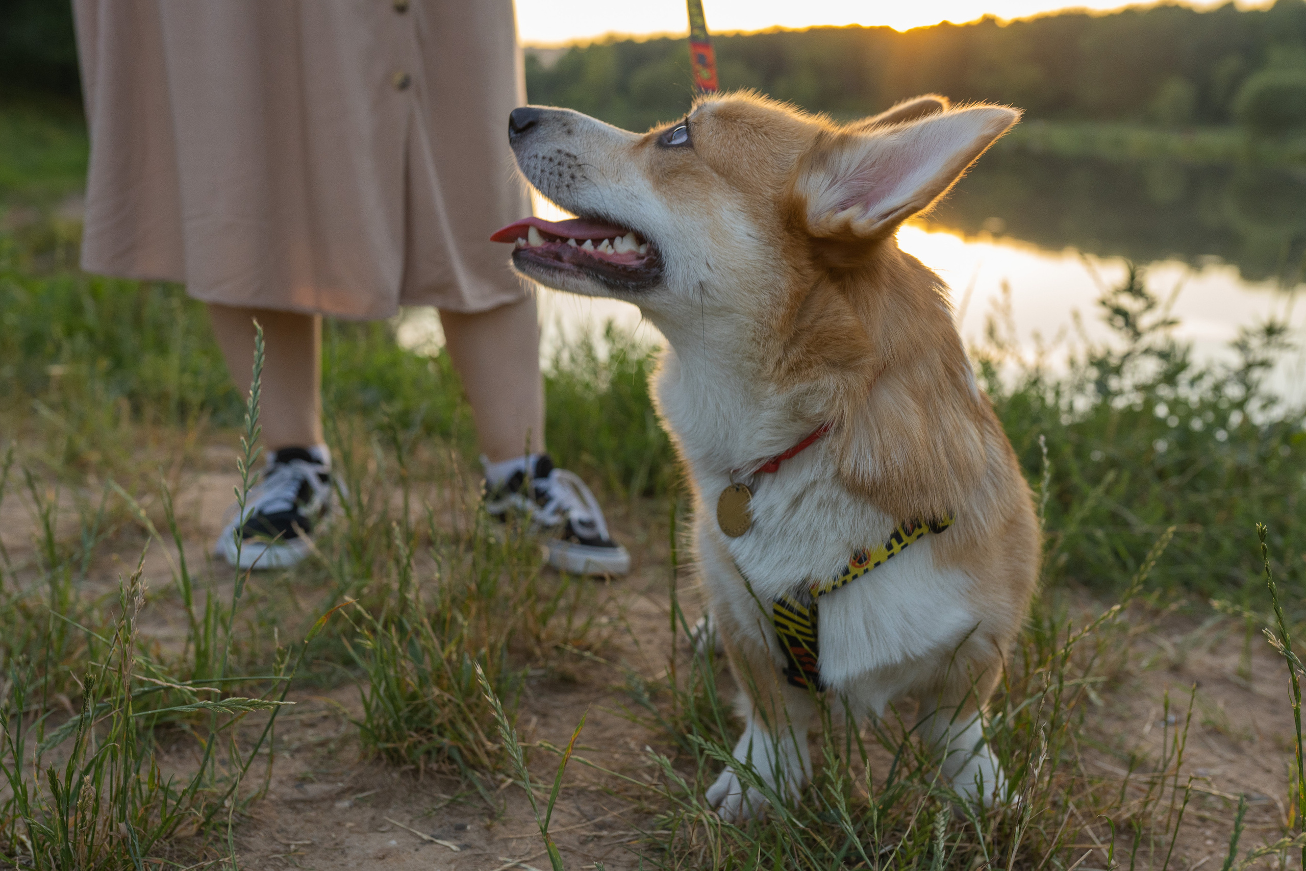 Катя и Боря, Джамгаровский парк. Свадебный фотограф в Москве Анна Полушина