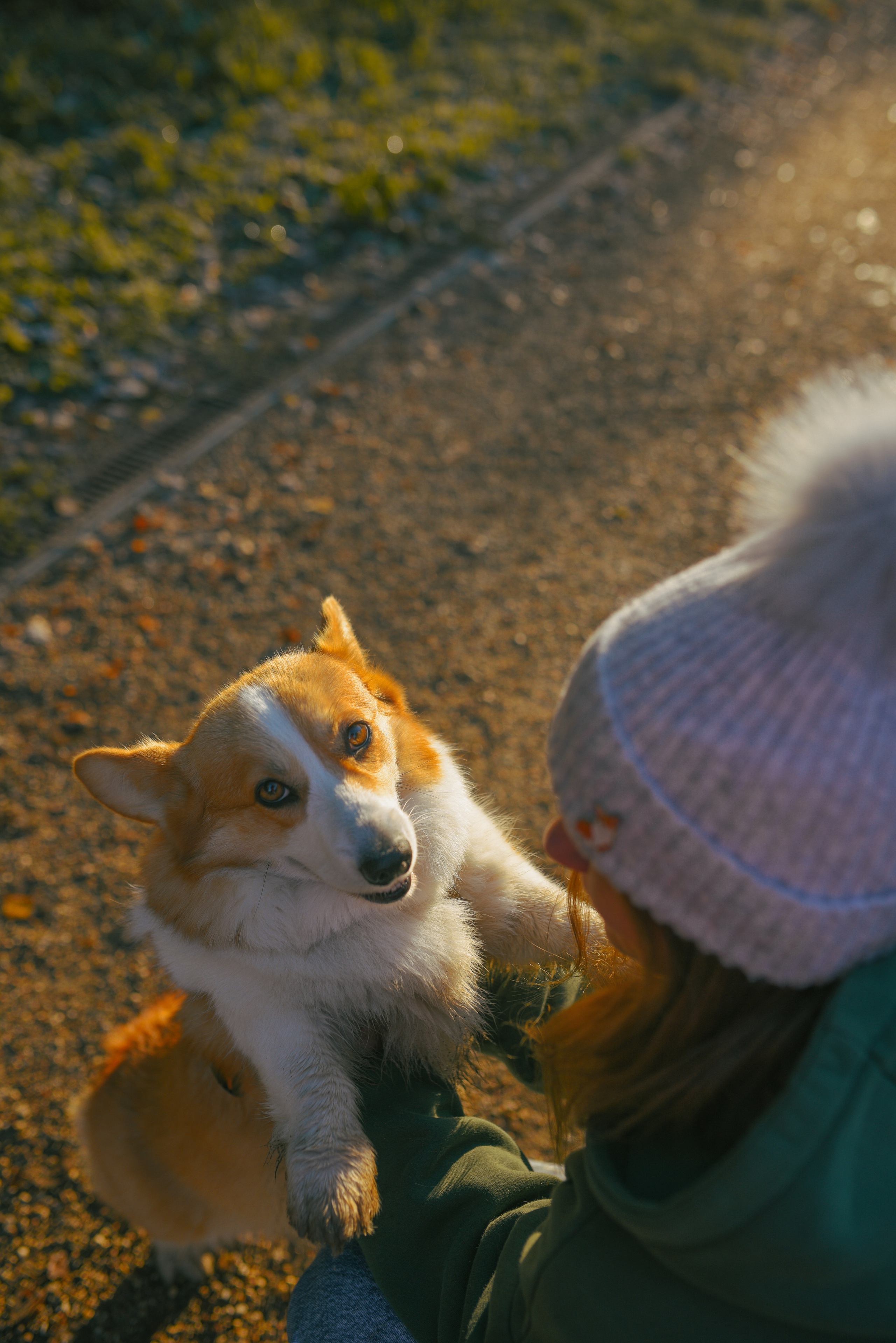 Фотосессия с питомцем в Москве. Свадебный фотограф в Москве Анна Полушина