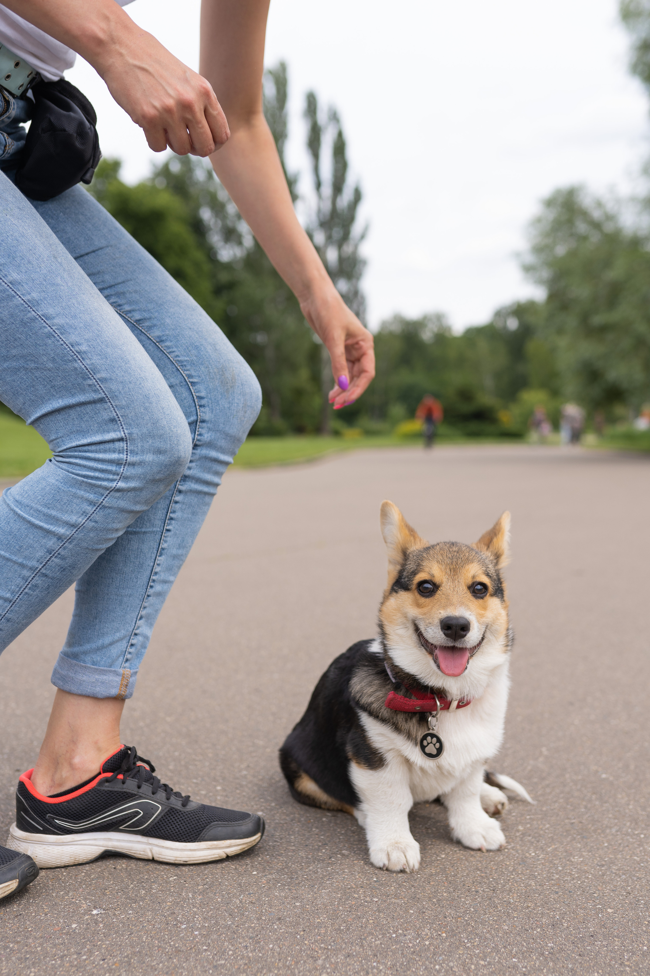 Каспер и Полина, Ботанический сад. Свадебный фотограф в Москве Анна Полушина