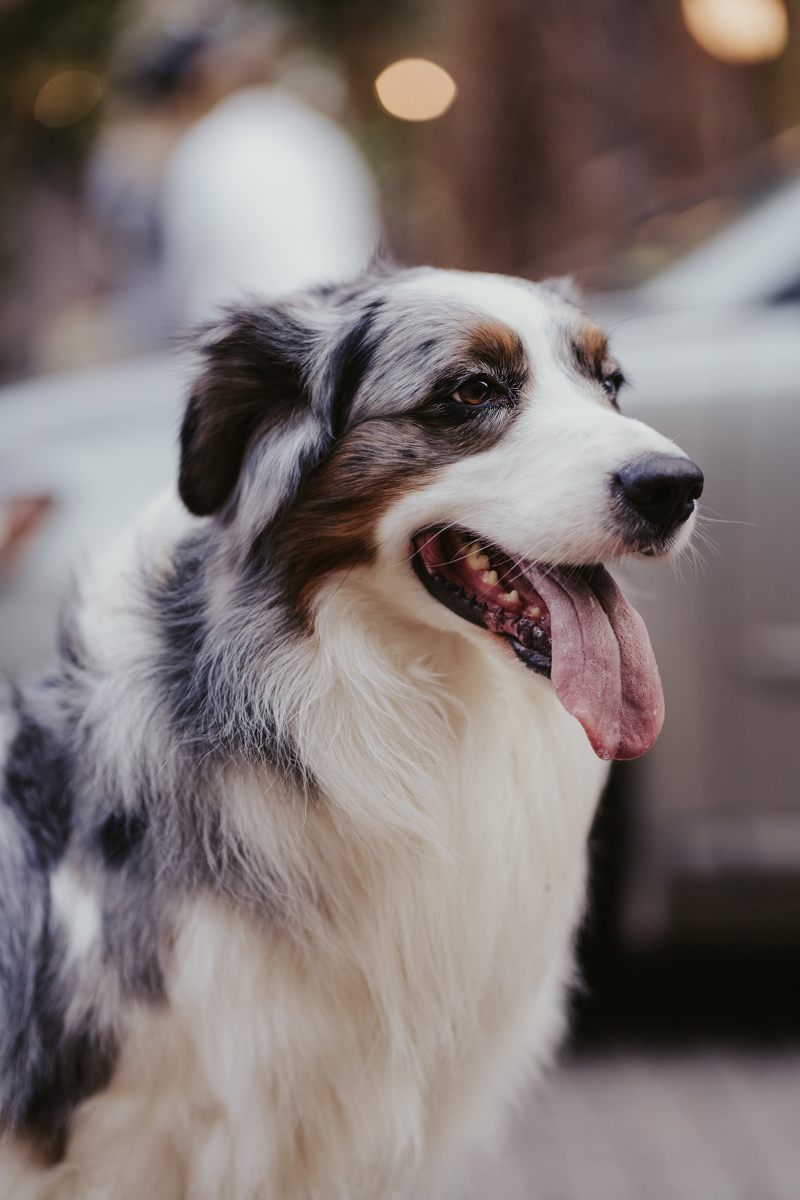 Лена и Принц, Китай- Город. Свадебный фотограф в Москве Анна Полушина