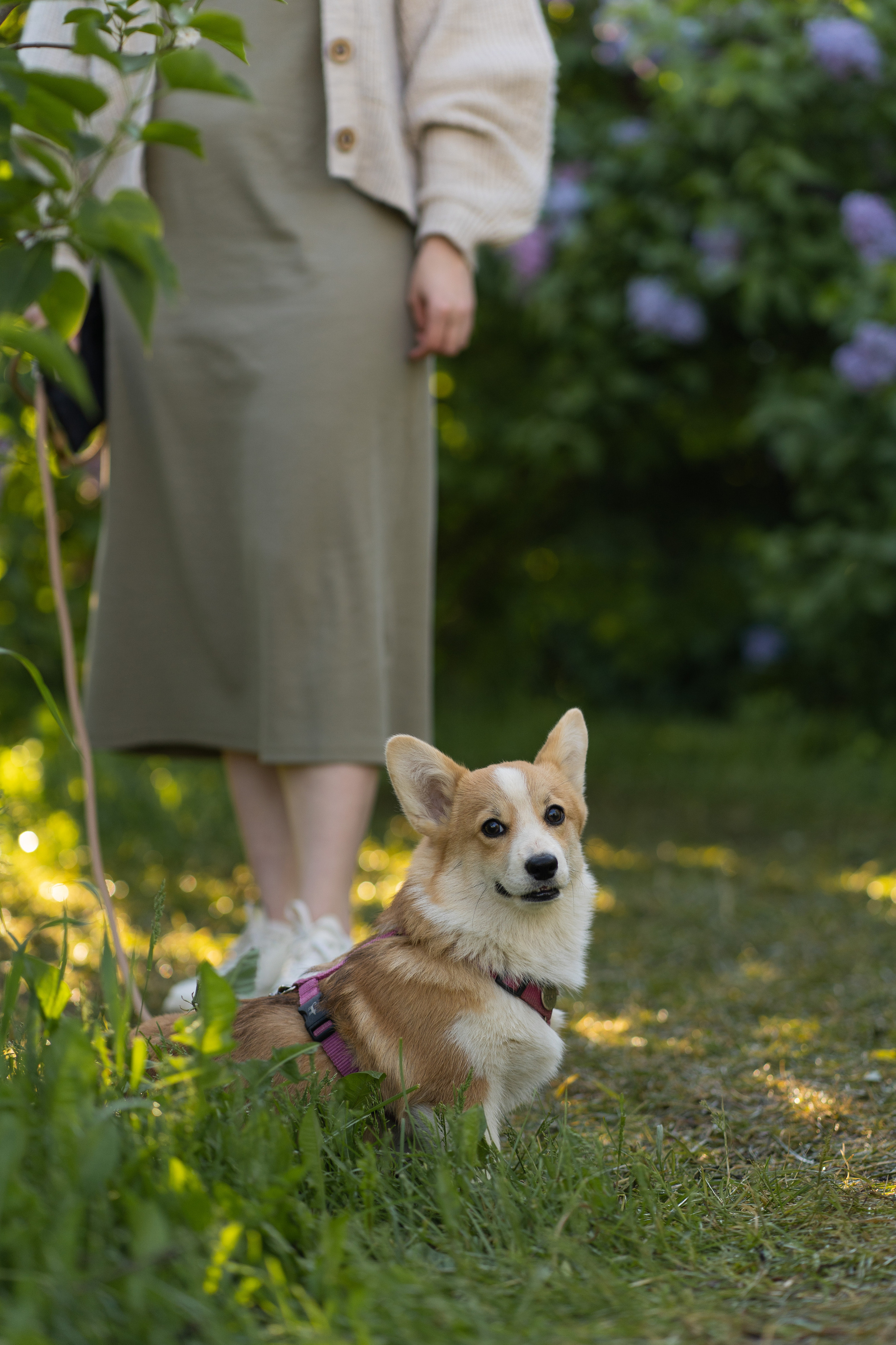 Полина и Стеша, Сиреневый сад. Свадебный фотограф в Москве Анна Полушина