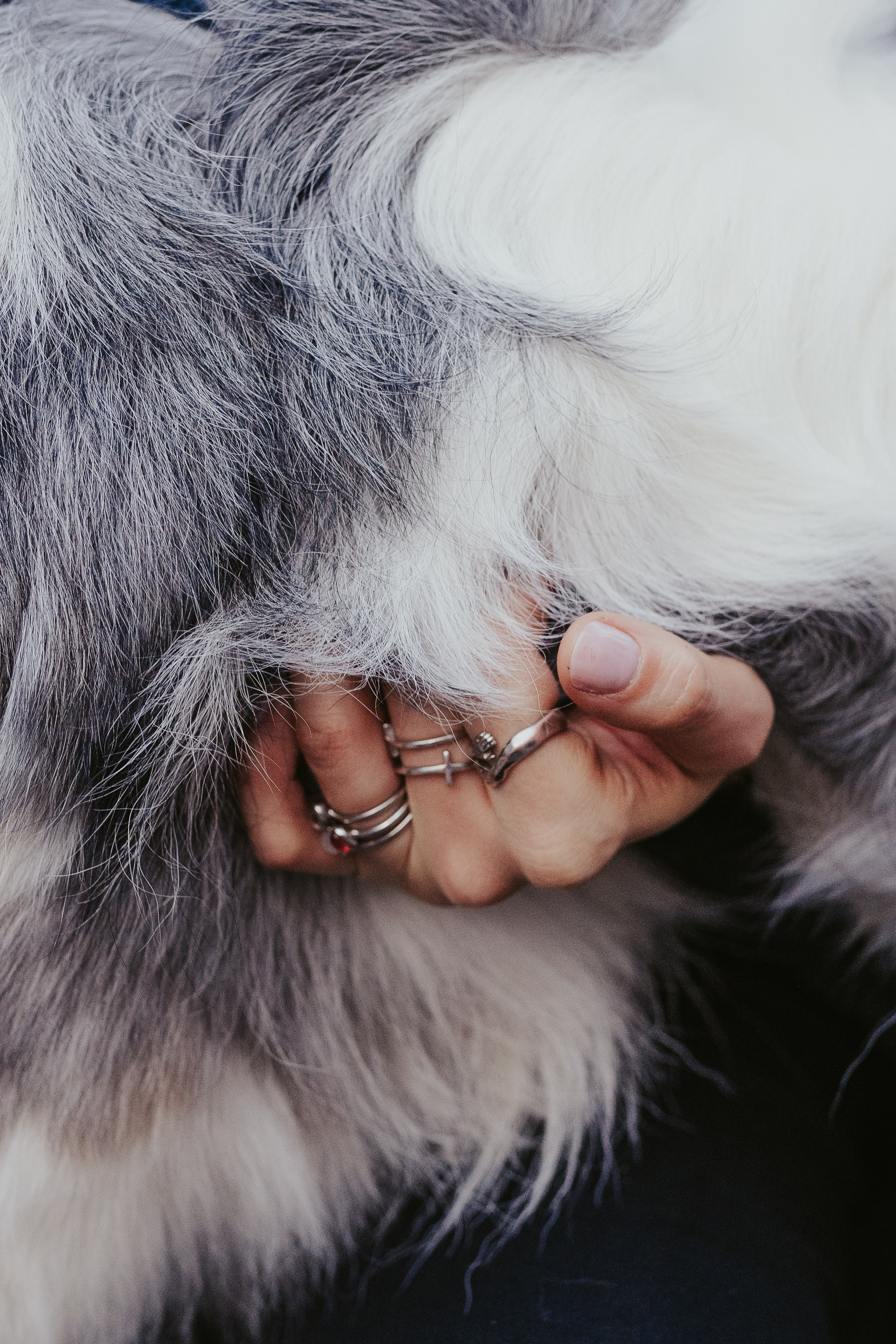 Лена и Принц, Китай- Город. Свадебный фотограф в Москве Анна Полушина