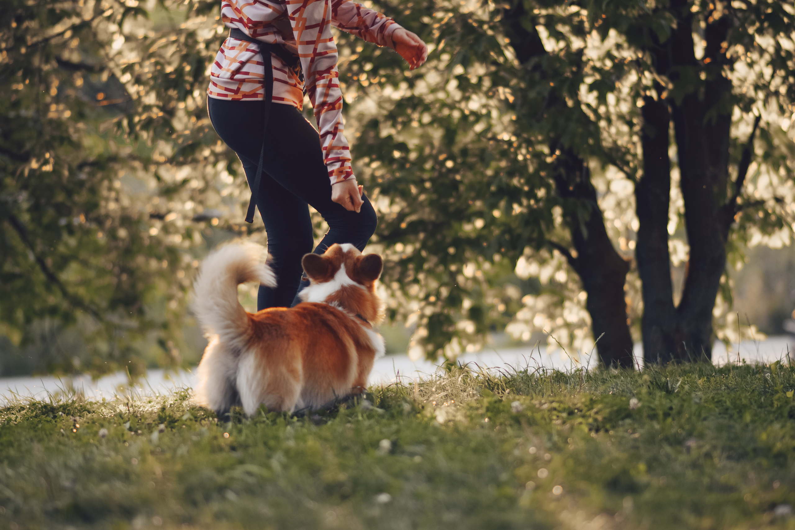 Алина и Ройс, парк на Яузе. Свадебный фотограф в Москве Анна Полушина