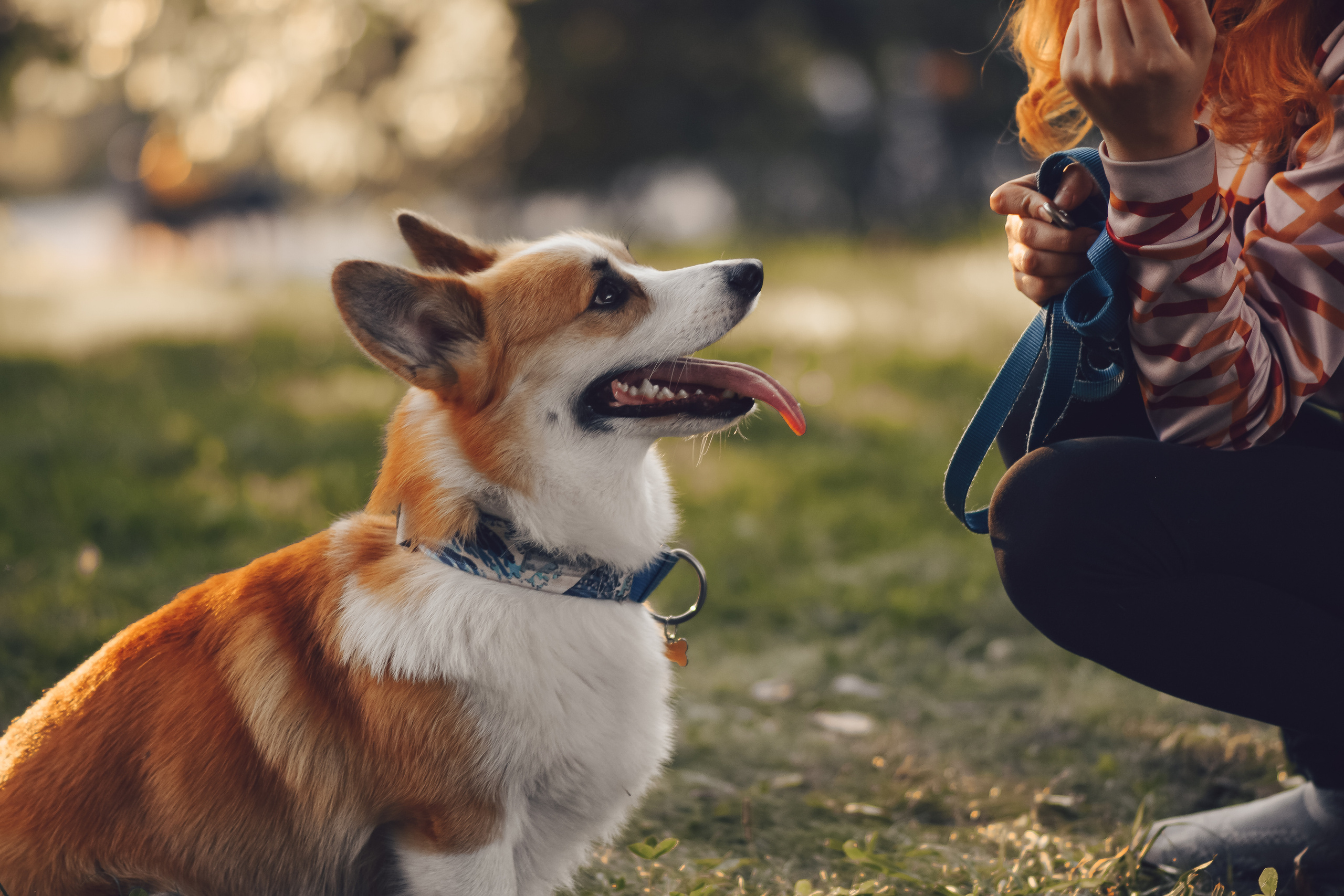 Алина и Ройс, парк на Яузе. Свадебный фотограф в Москве Анна Полушина