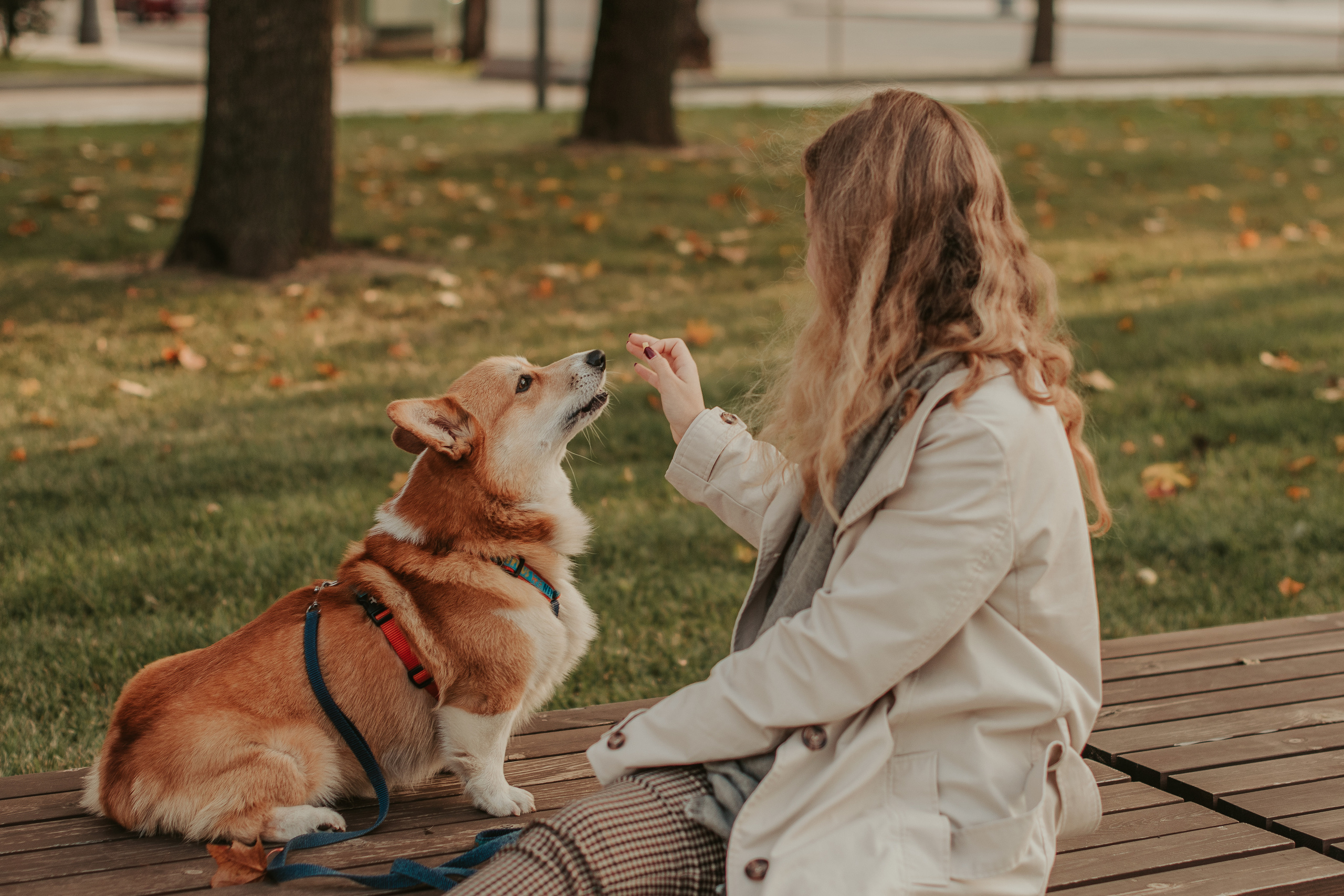 Наташа, Даша и Кевин. Свадебный фотограф в Москве Анна Полушина