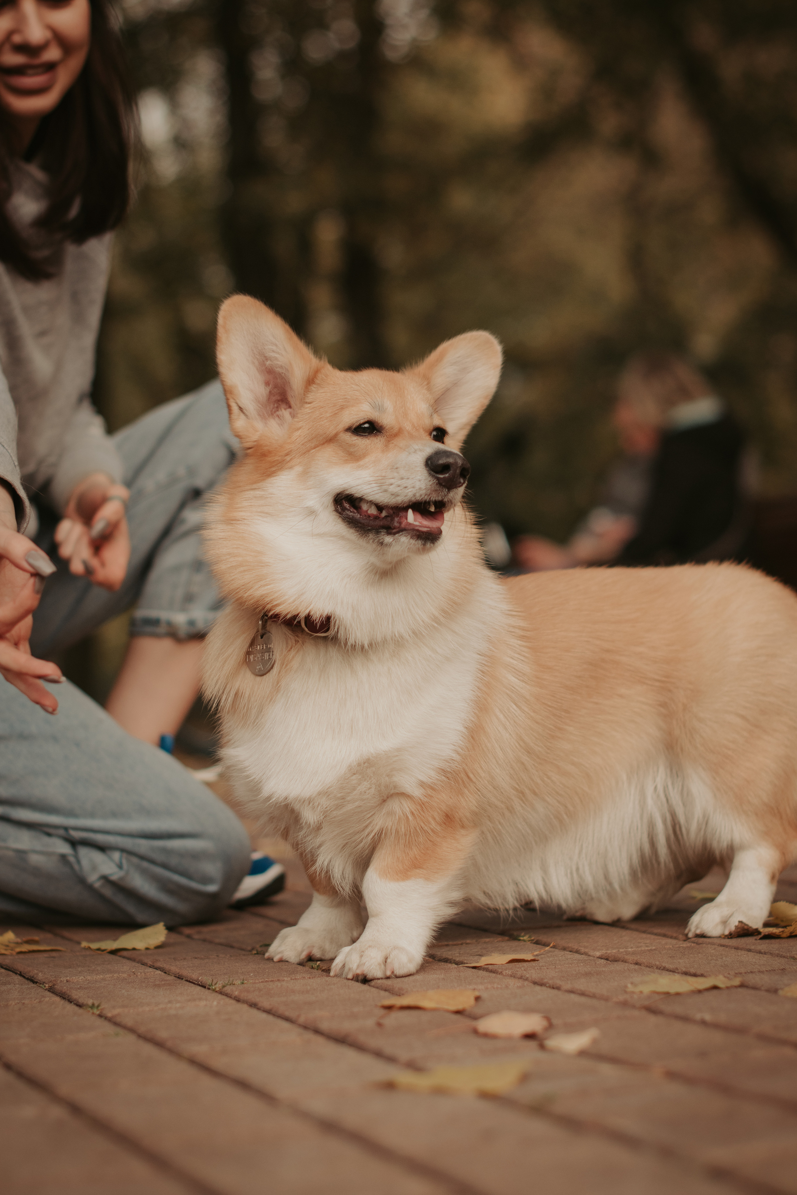 Марина и Мася, Новодевичий сквер. Свадебный фотограф в Москве Анна Полушина