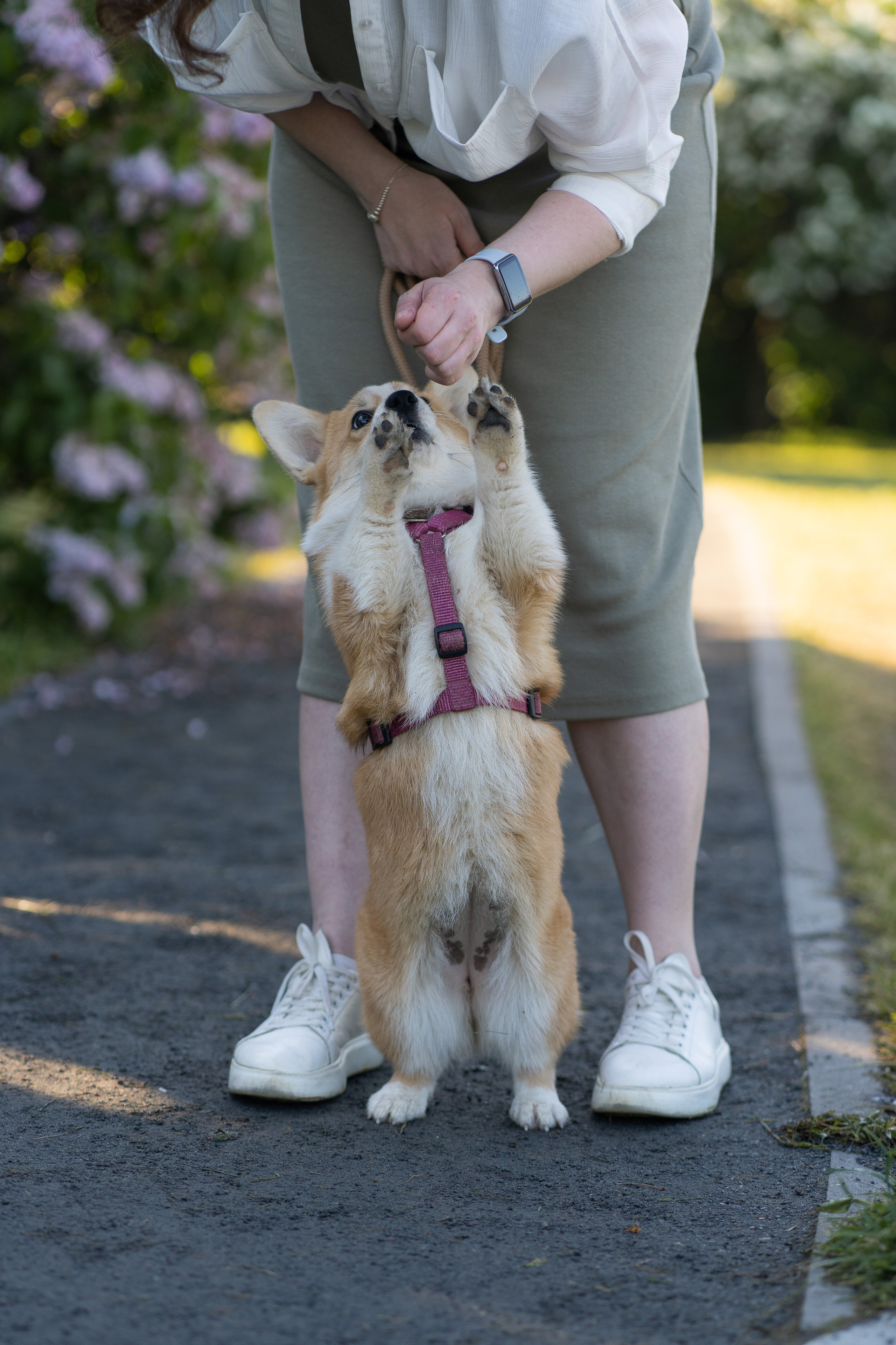 Полина и Стеша, Сиреневый сад. Свадебный фотограф в Москве Анна Полушина