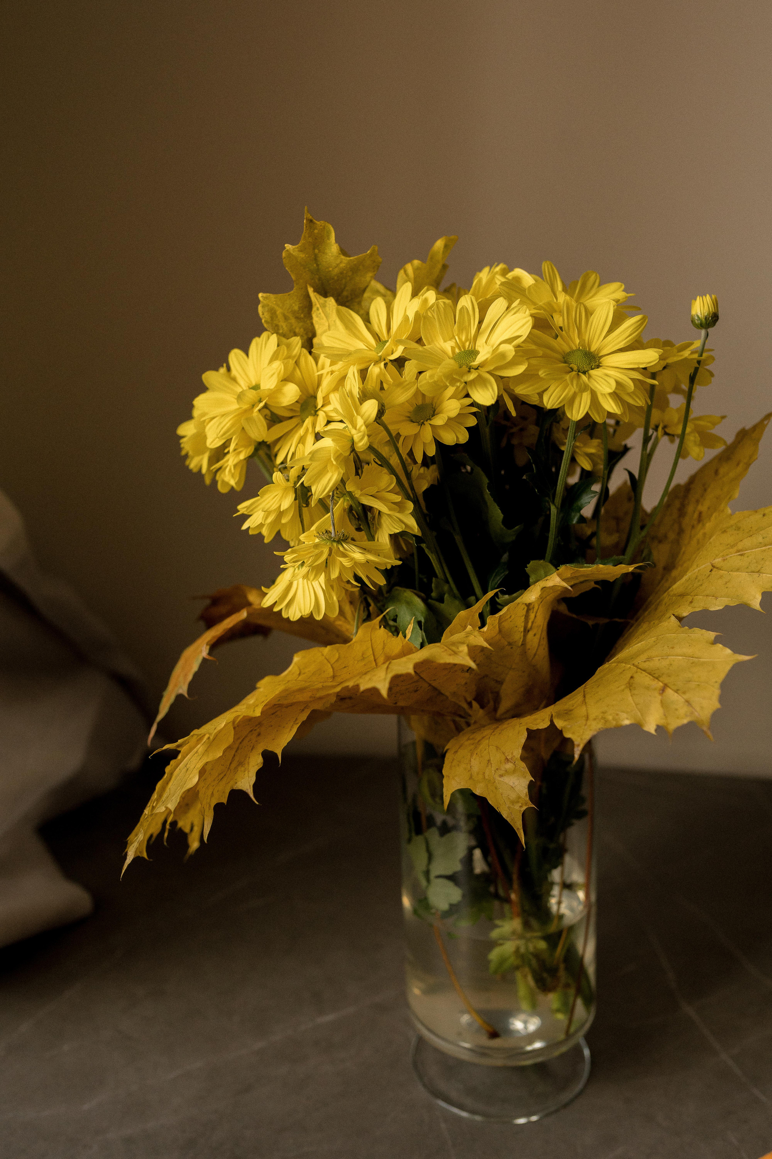 Семейная фотосессия в Москве, семейный фотограф Анна Полушина. Свадебный фотограф в Москве Анна Полушина