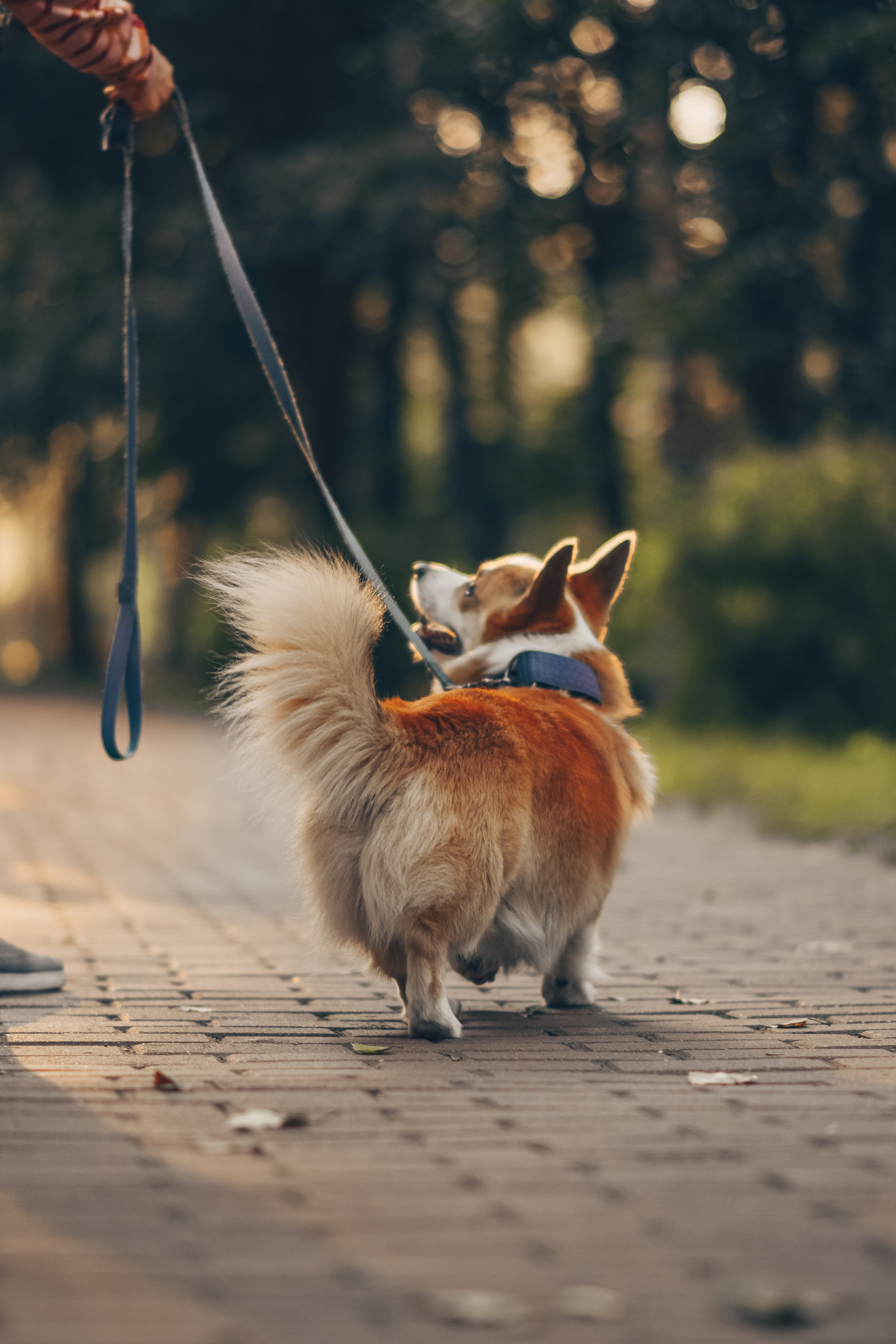 Алина и Ройс, парк на Яузе. Свадебный фотограф в Москве Анна Полушина