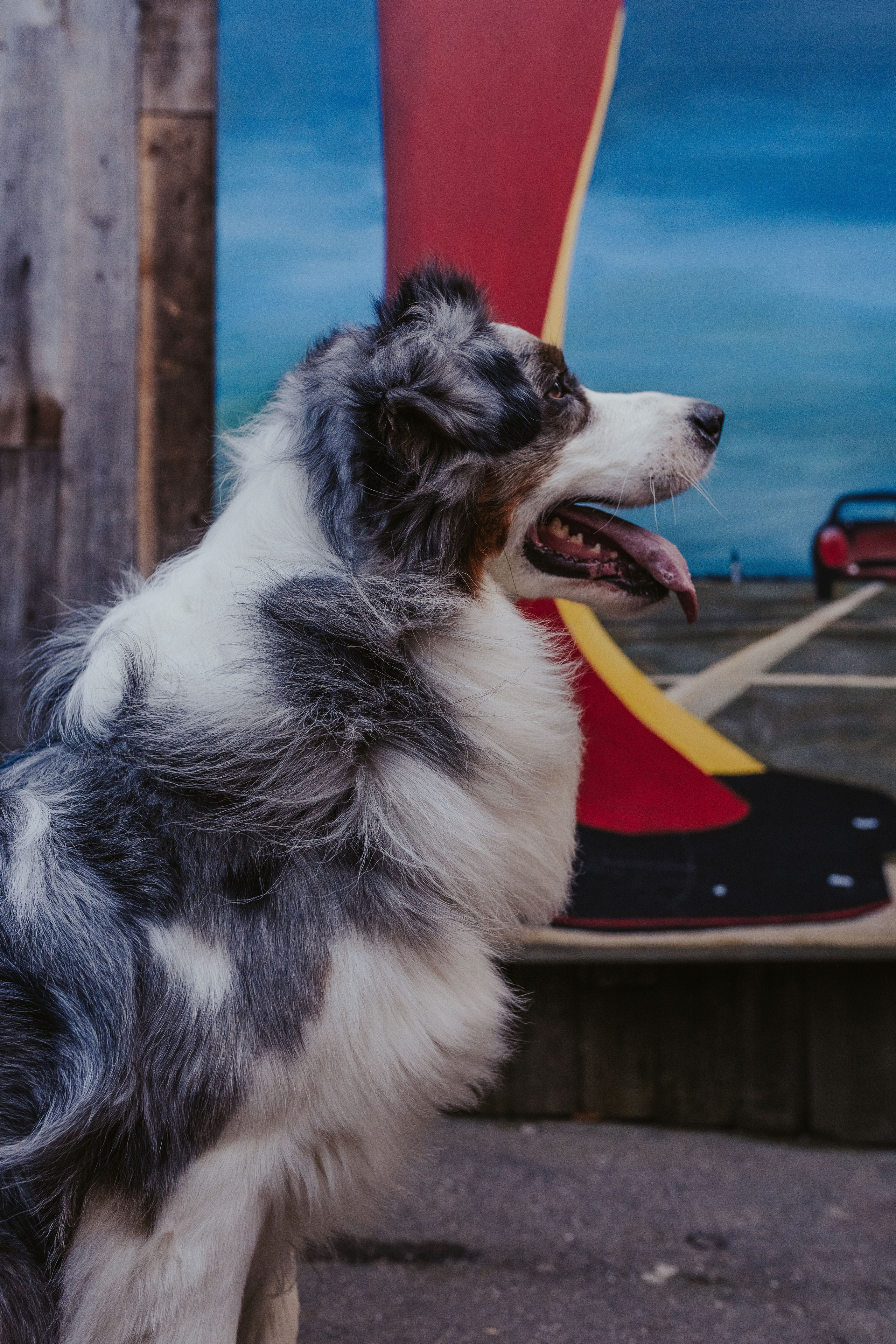 Лена и Принц, Китай- Город. Свадебный фотограф в Москве Анна Полушина