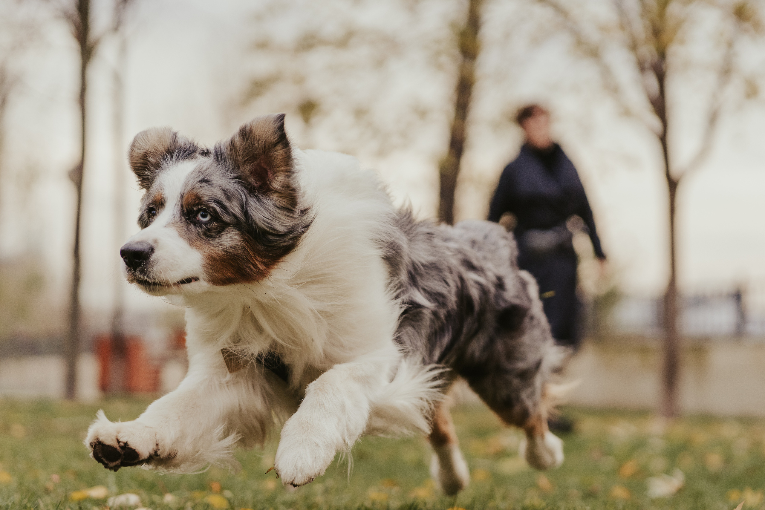 Лена и Принц, Китай- Город. Свадебный фотограф в Москве Анна Полушина