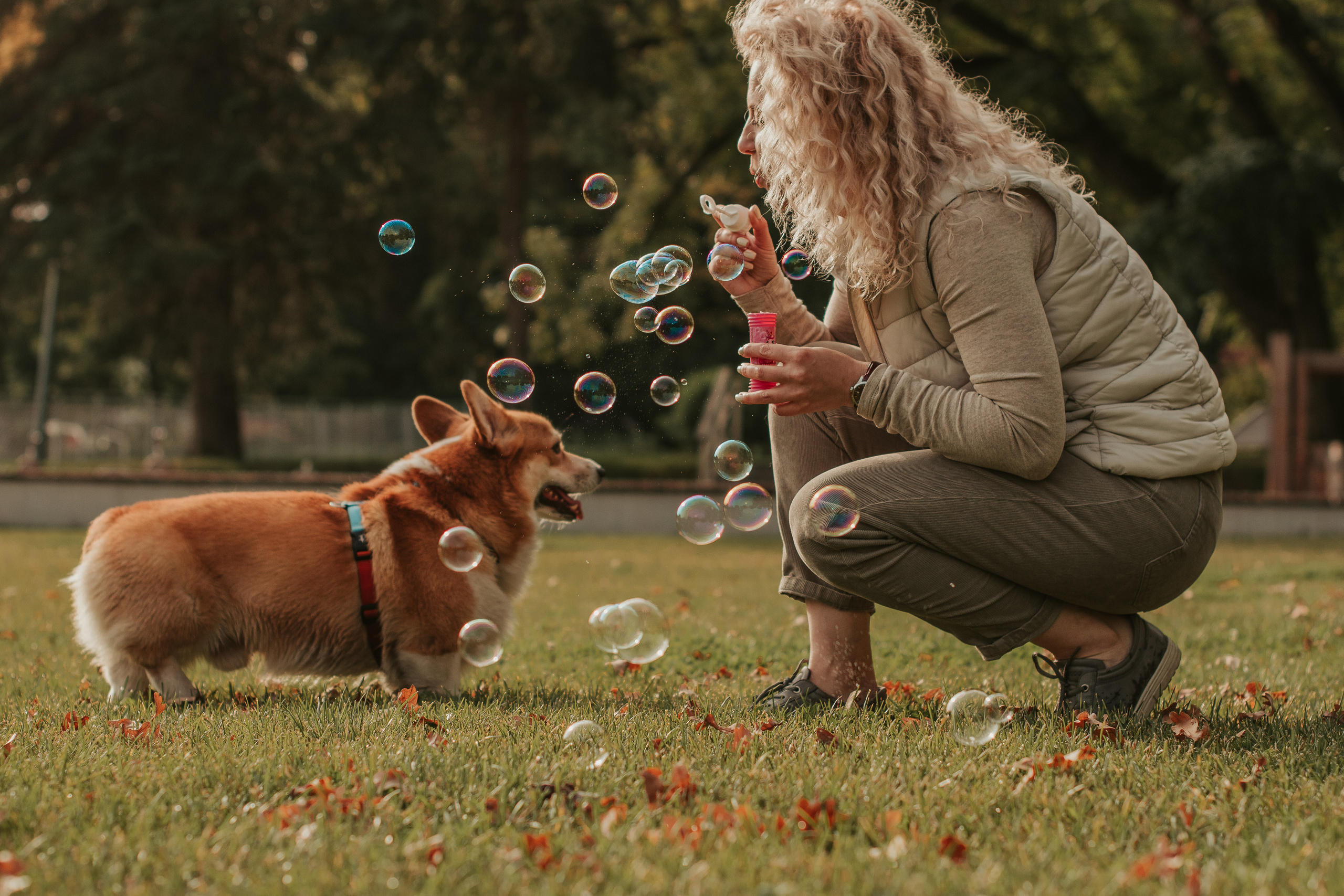 Наташа, Даша и Кевин. Свадебный фотограф в Москве Анна Полушина