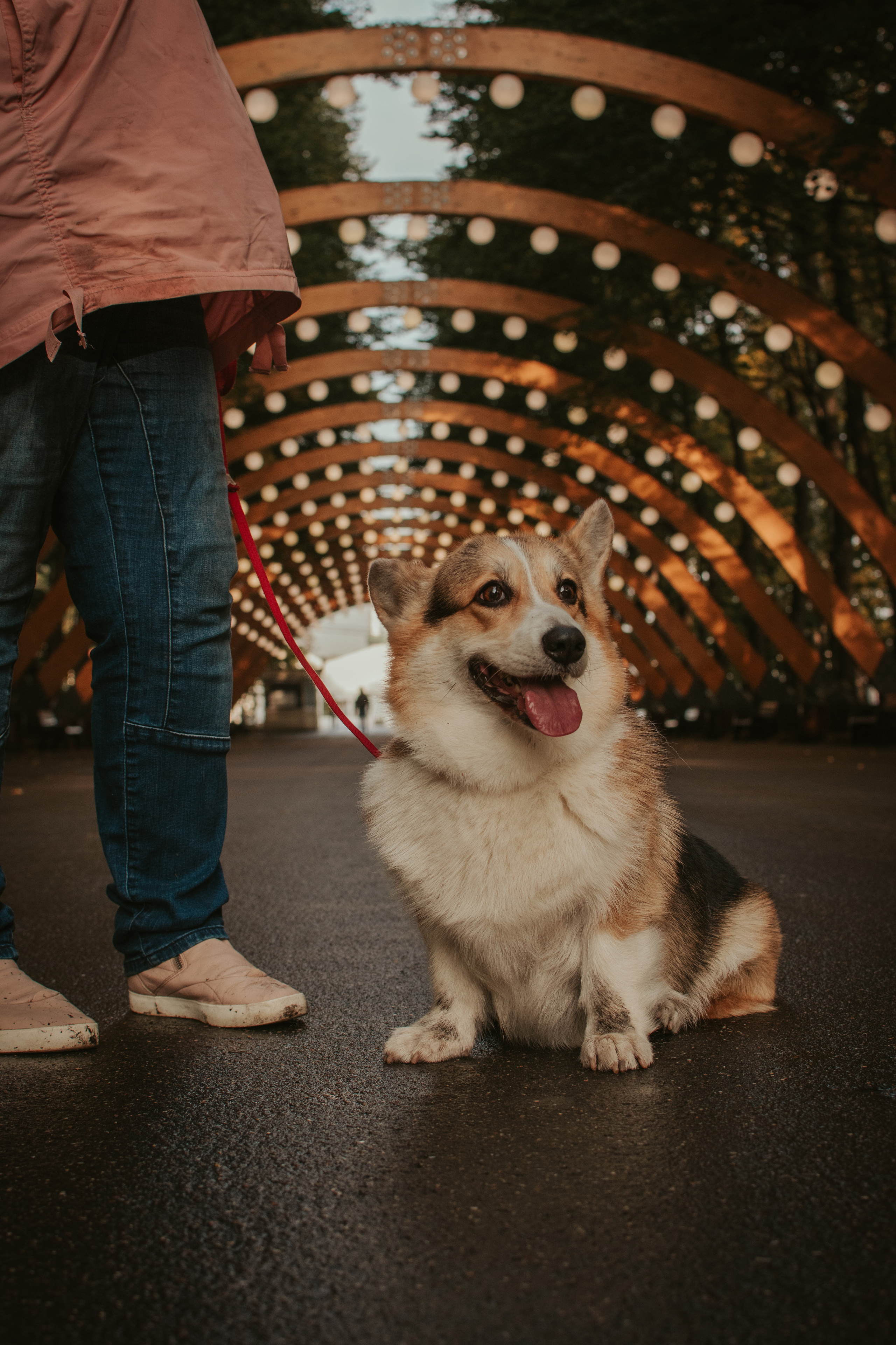 Аня и Булочка, Сокольники. Свадебный фотограф в Москве Анна Полушина