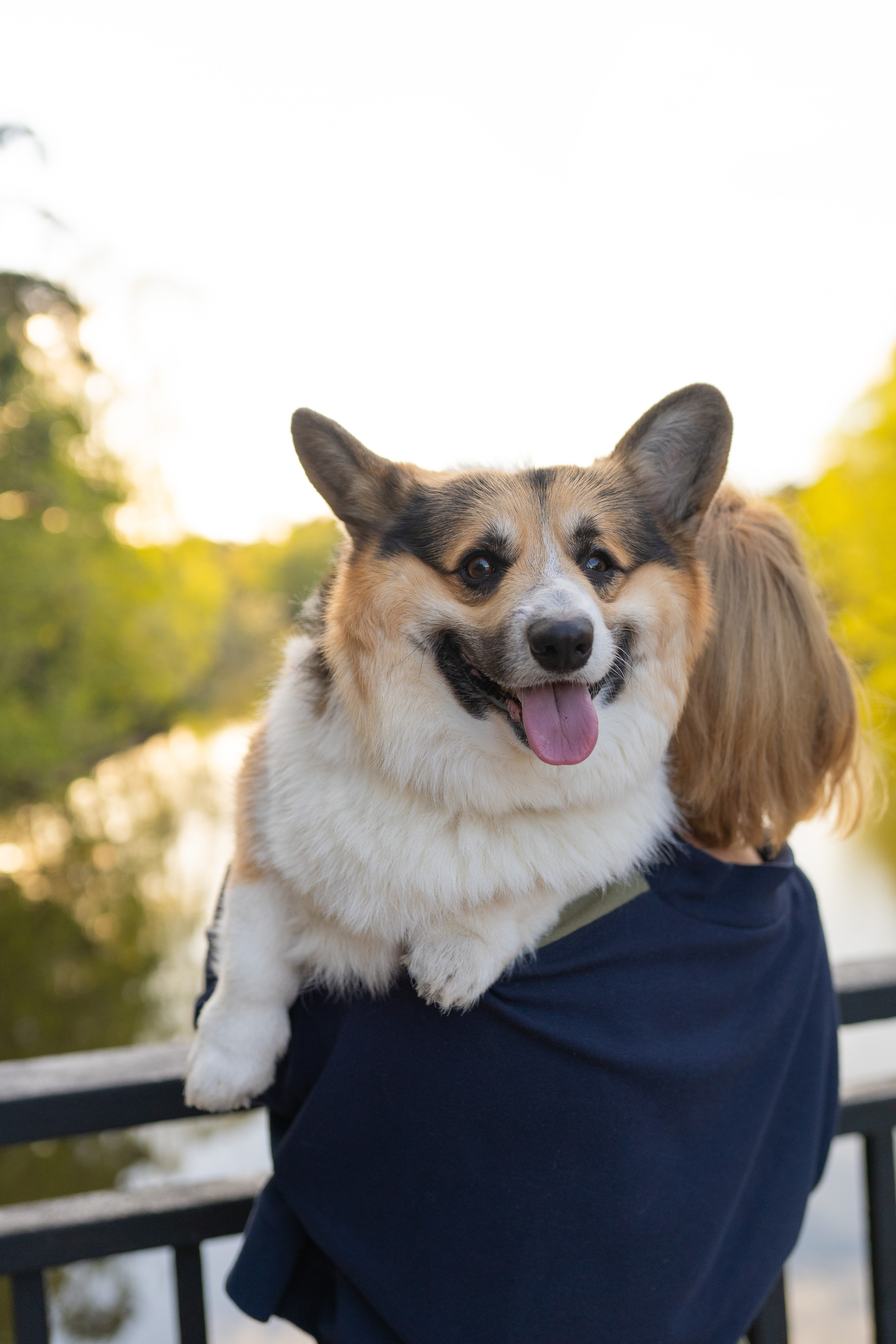 Катя и Честер, Серебряный бор. Свадебный фотограф в Москве Анна Полушина