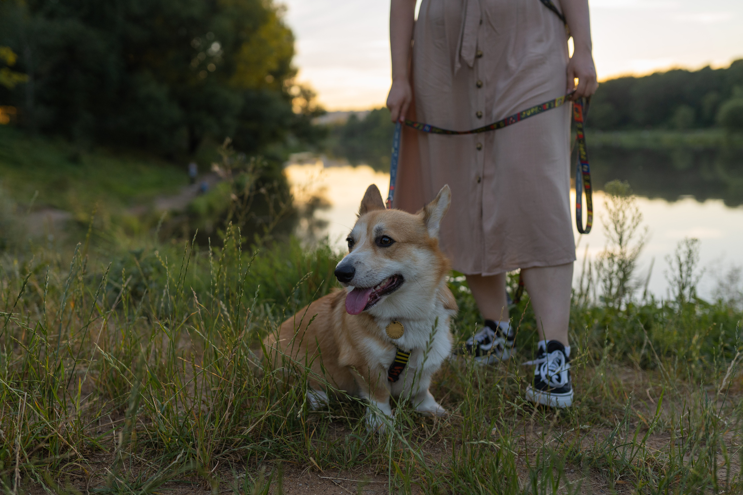 Катя и Боря, Джамгаровский парк. Свадебный фотограф в Москве Анна Полушина