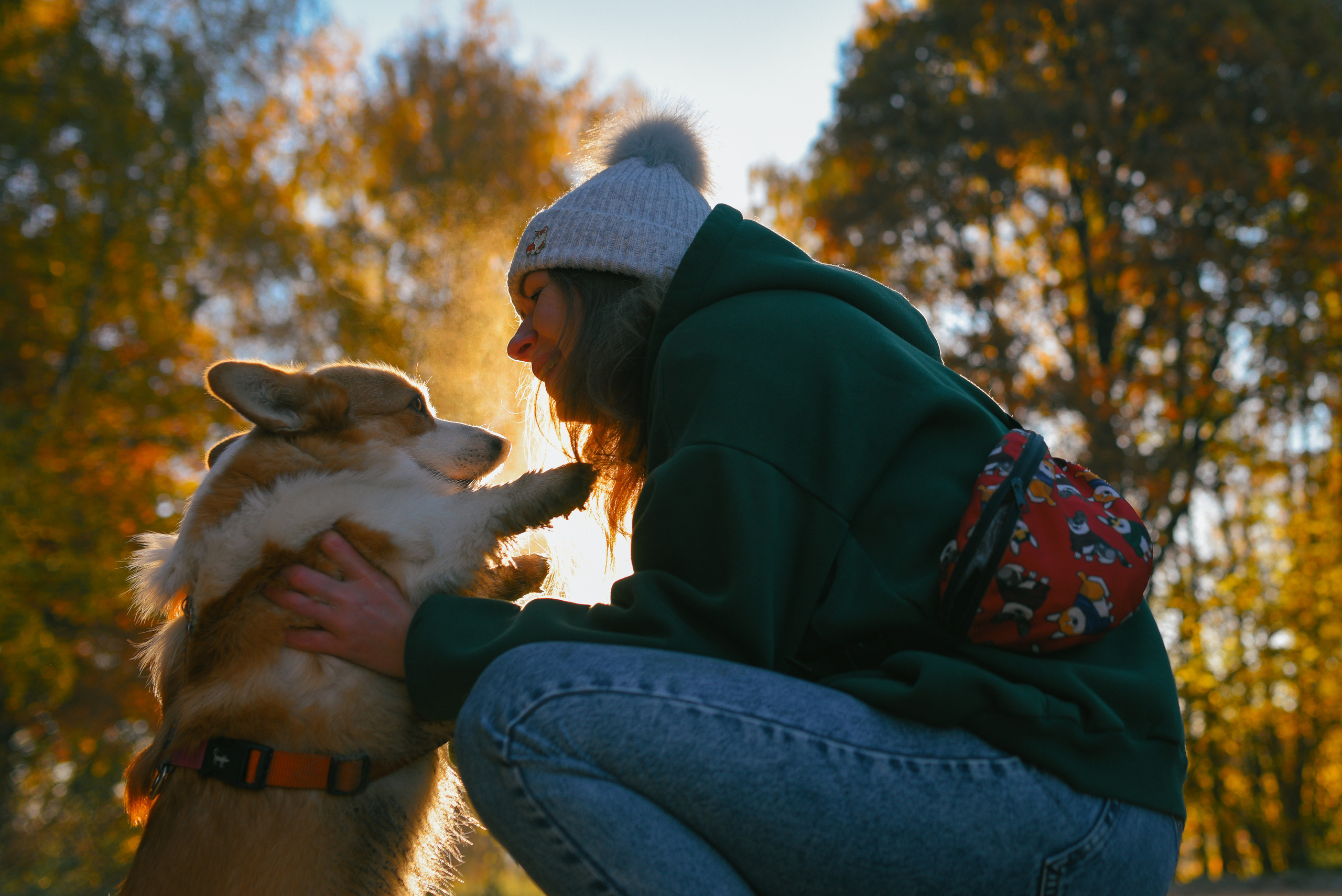 Фотосессия с питомцем в Москве. Свадебный фотограф в Москве Анна Полушина