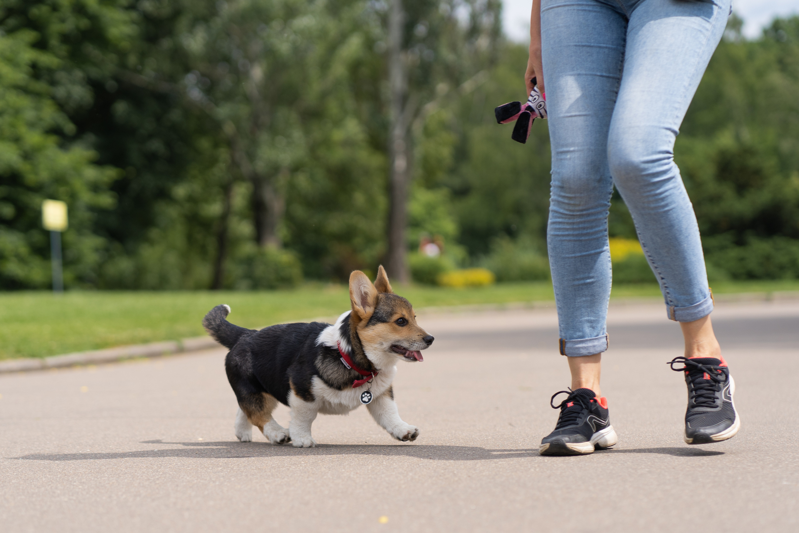 Каспер и Полина, Ботанический сад. Свадебный фотограф в Москве Анна Полушина