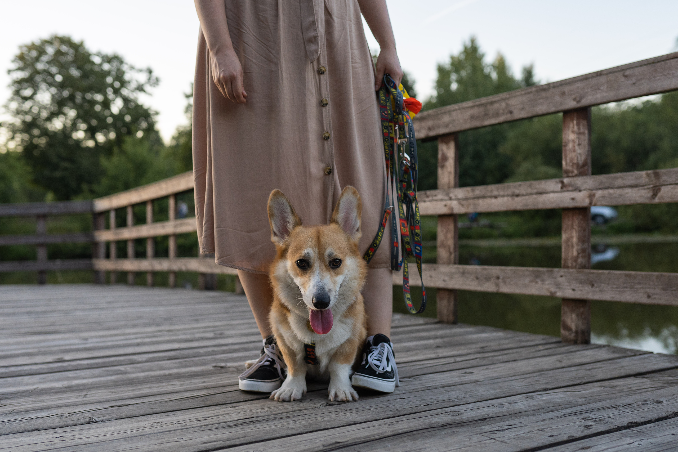 Катя и Боря, Джамгаровский парк. Свадебный фотограф в Москве Анна Полушина