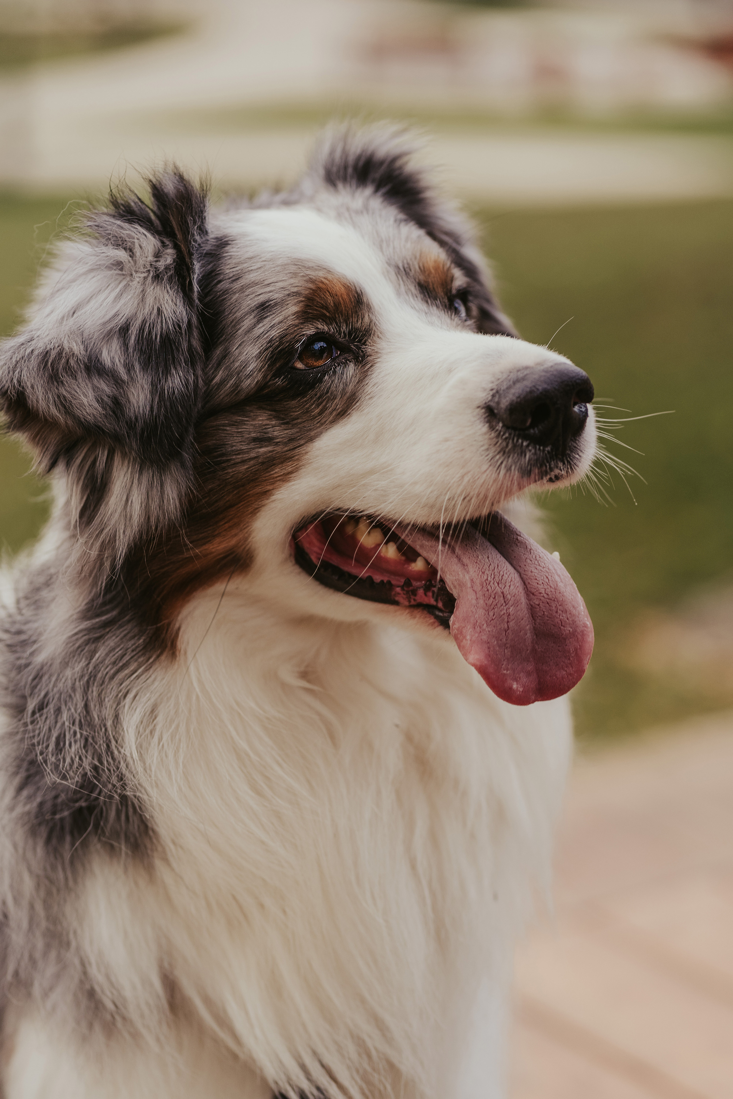Лена и Принц, Китай- Город. Свадебный фотограф в Москве Анна Полушина