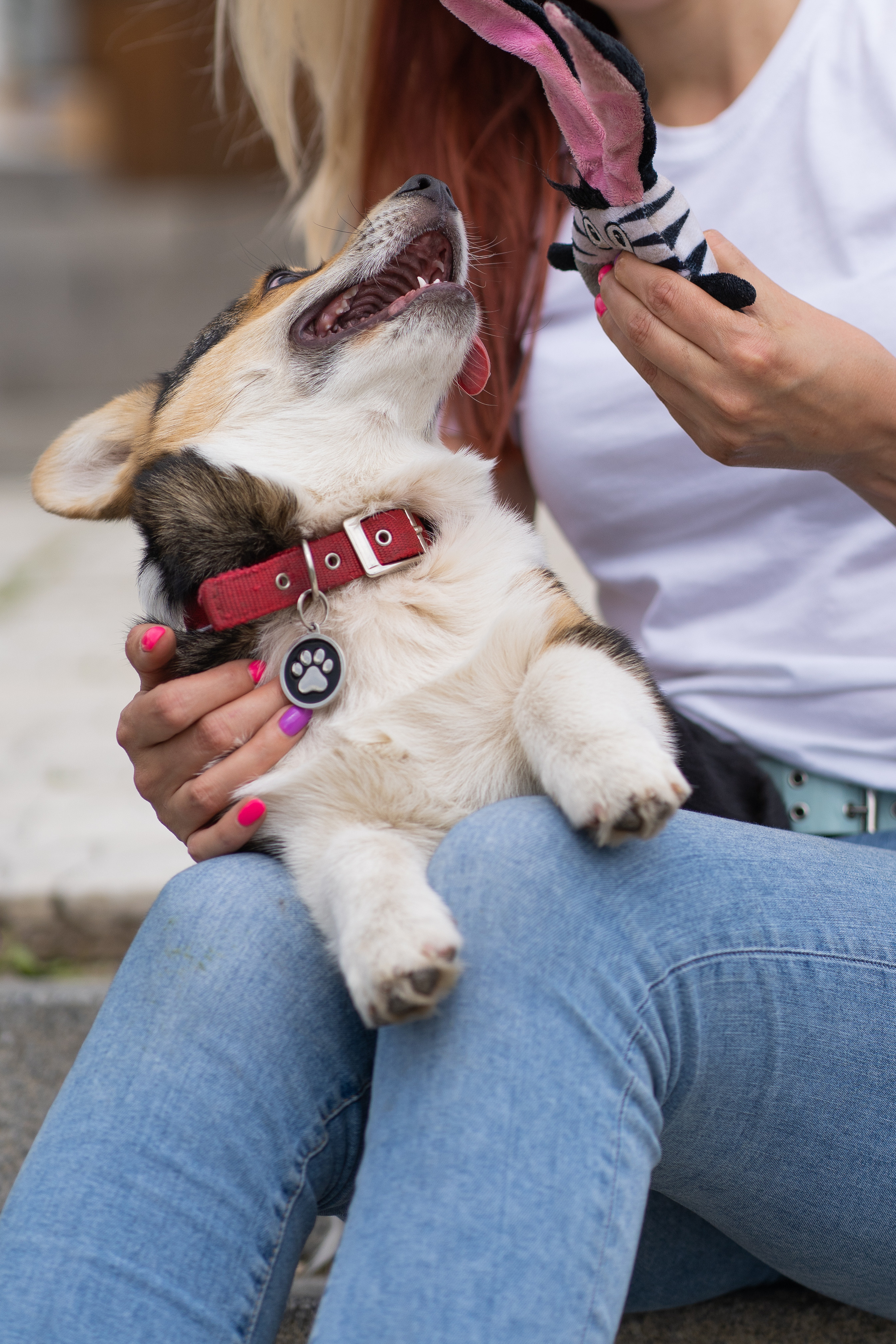 Каспер и Полина, Ботанический сад. Свадебный фотограф в Москве Анна Полушина