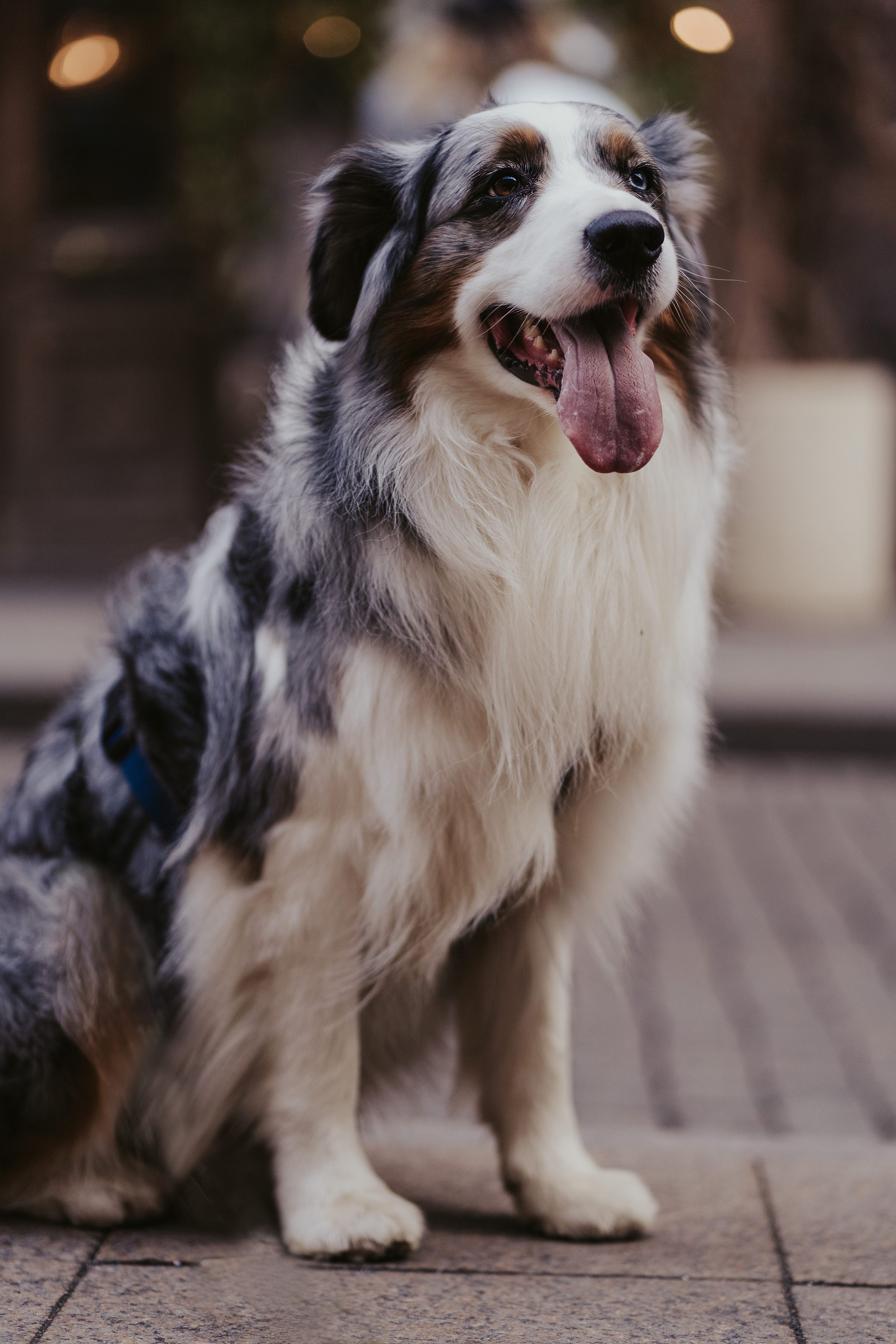 Лена и Принц, Китай- Город. Свадебный фотограф в Москве Анна Полушина