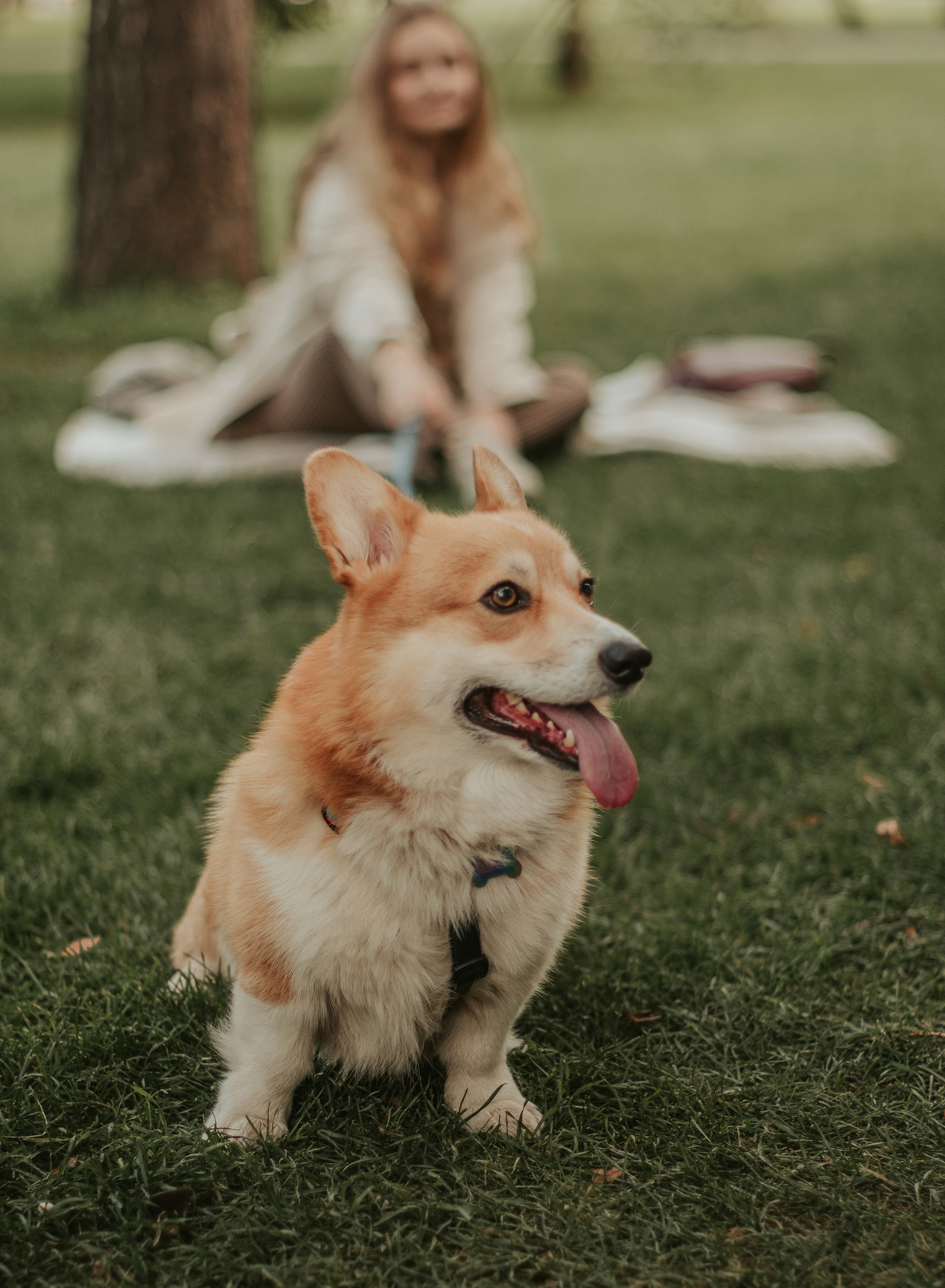 Наташа, Даша и Кевин. Свадебный фотограф в Москве Анна Полушина