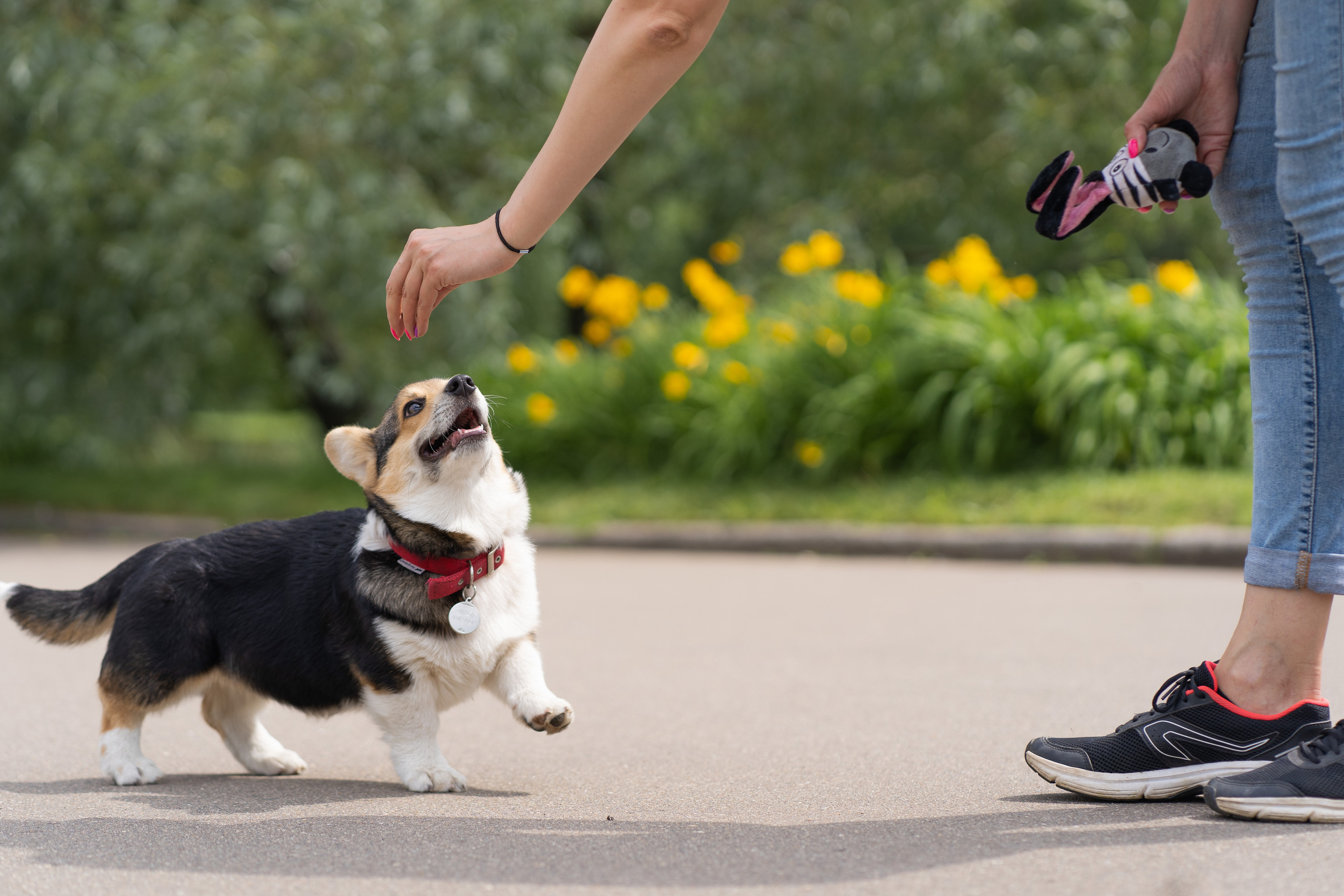 Каспер и Полина, Ботанический сад. Свадебный фотограф в Москве Анна Полушина
