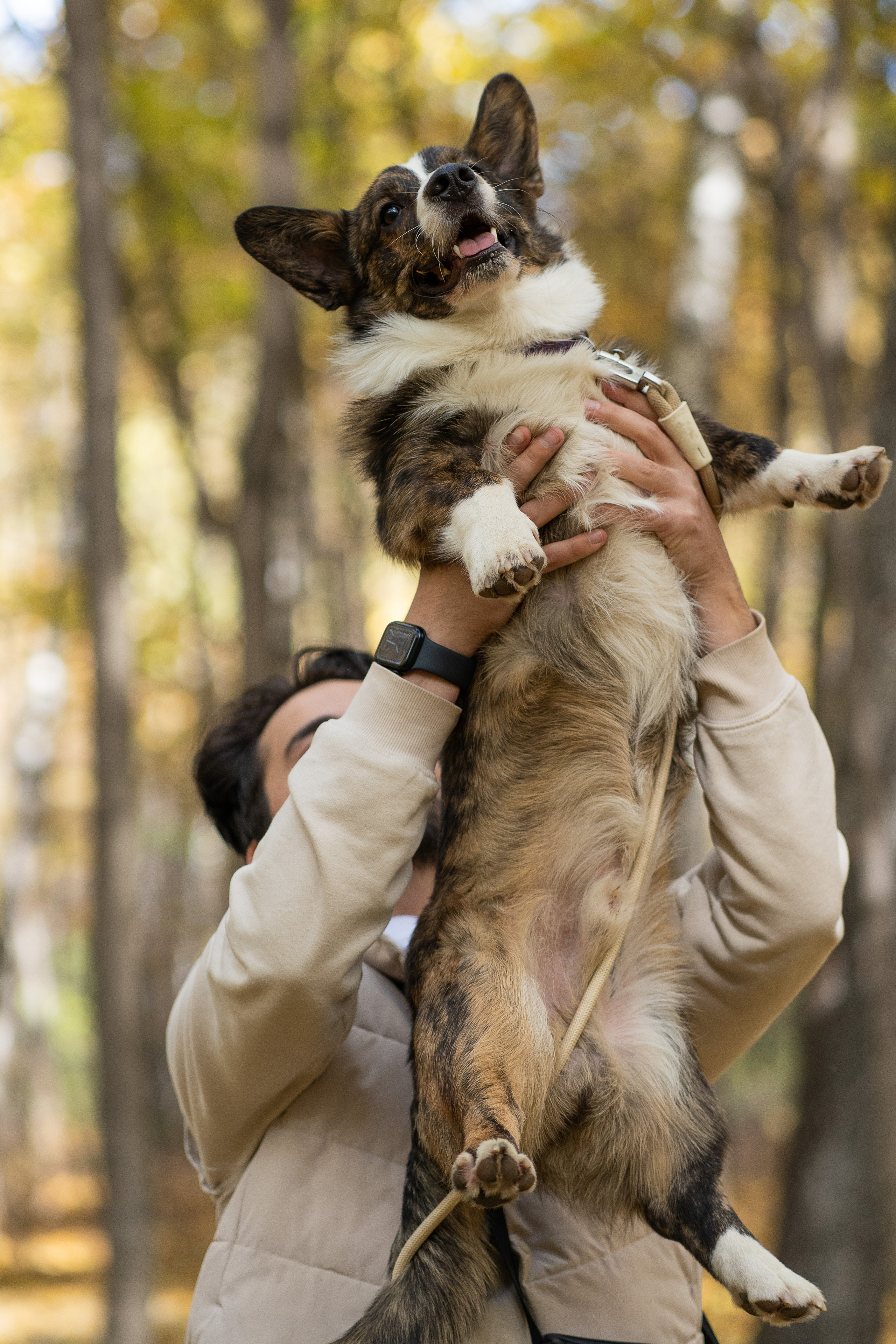 Боря, Даша и Маффин. Свадебный фотограф в Москве Анна Полушина