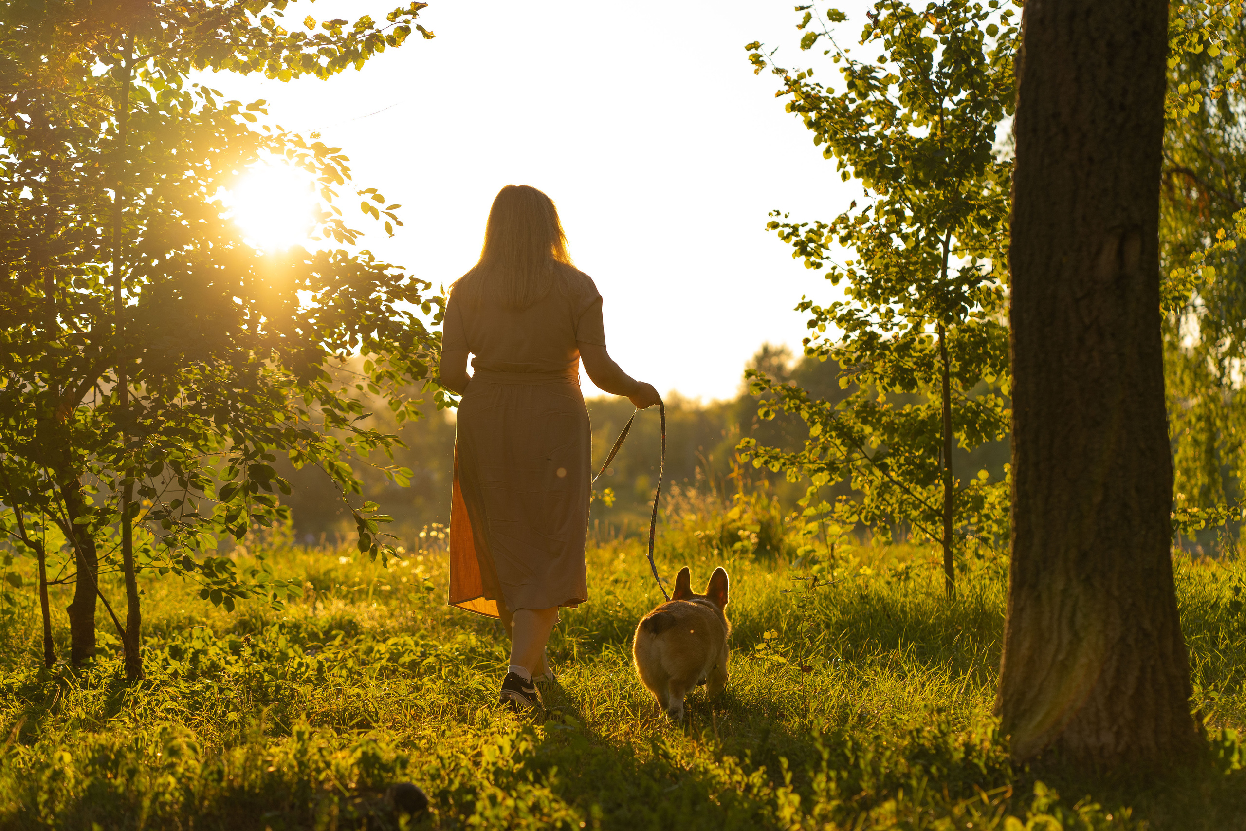 Катя и Боря, Джамгаровский парк. Свадебный фотограф в Москве Анна Полушина
