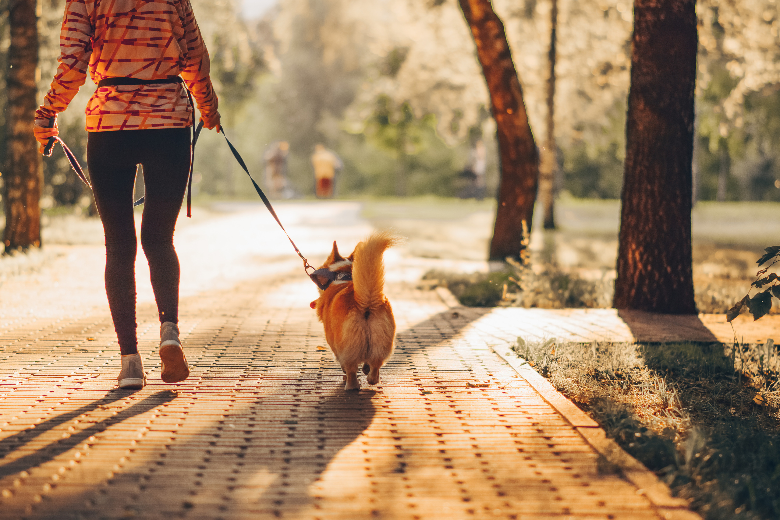 Алина и Ройс, парк на Яузе. Свадебный фотограф в Москве Анна Полушина