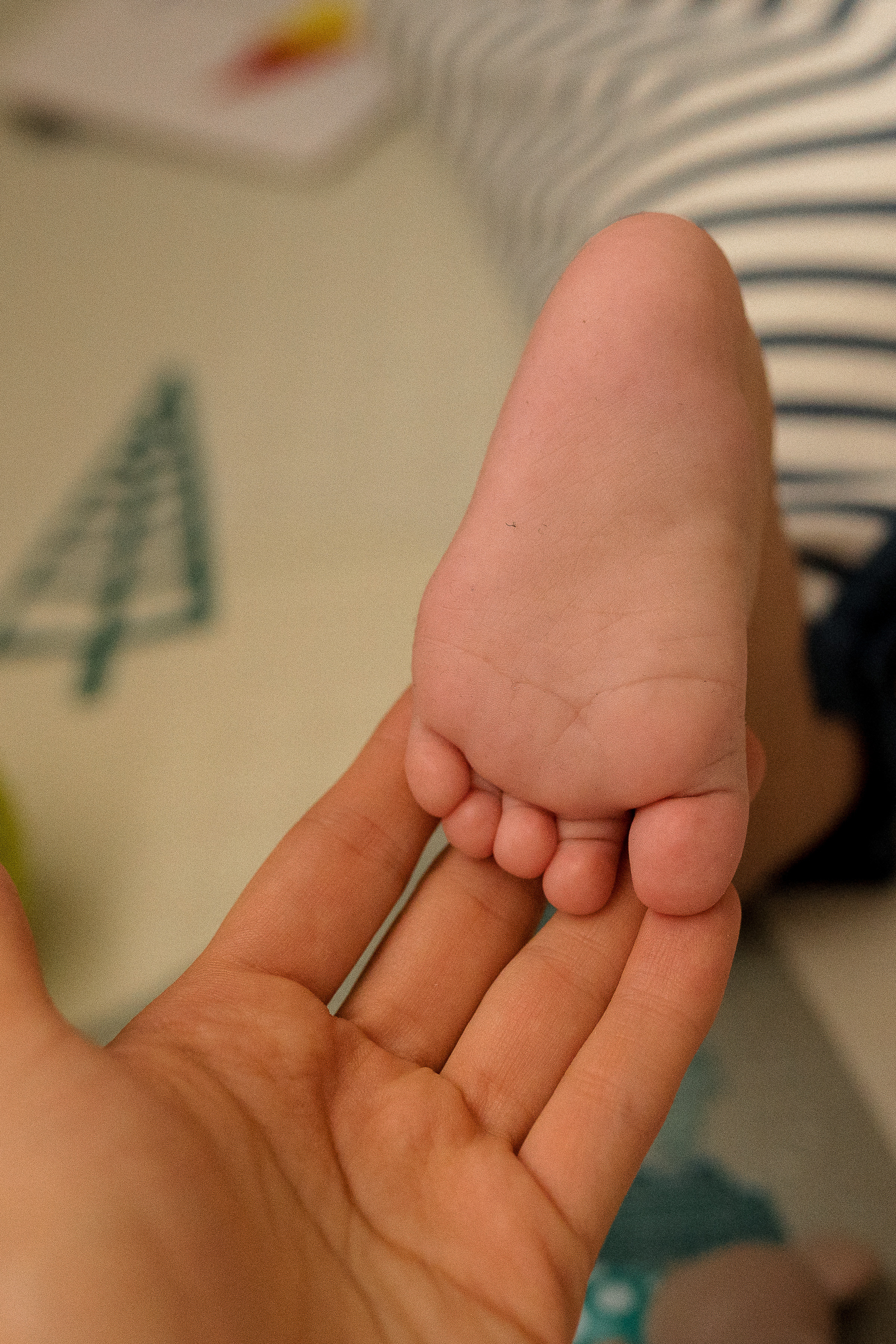 Семейная фотосессия в Москве, семейный фотограф Анна Полушина. Свадебный фотограф в Москве Анна Полушина